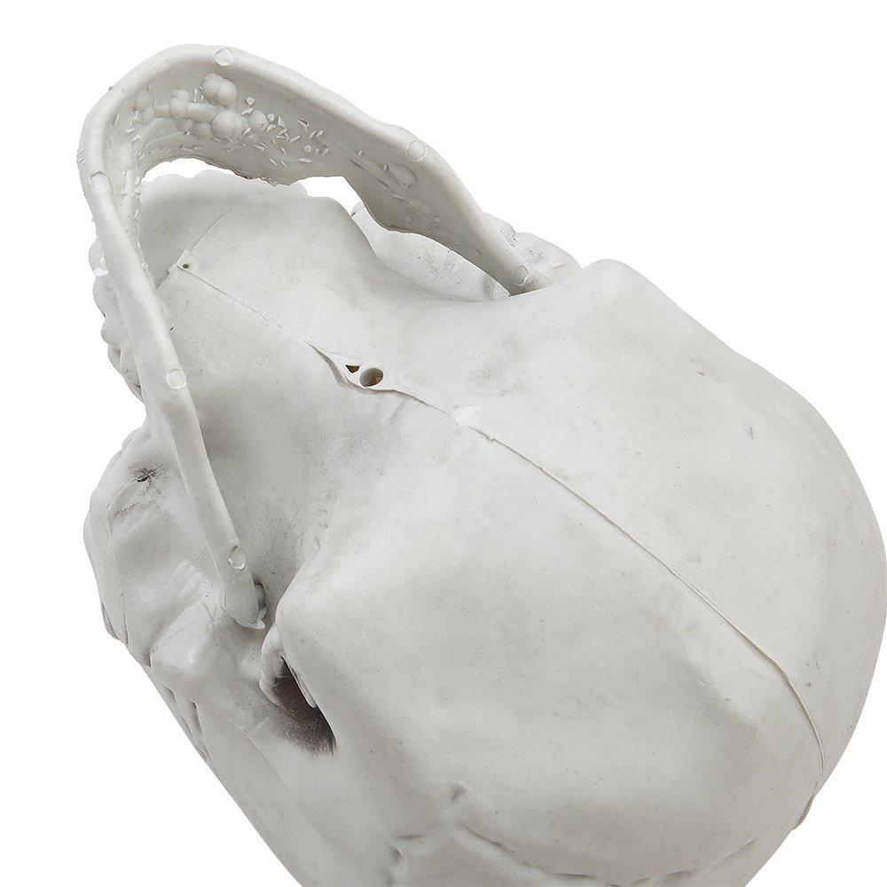 Skull - LIFE IDEAS - LIFE IDEAS 22cm Skull Tabletop Decoration 64 - 7