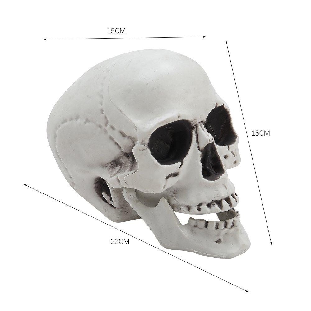 Skull - LIFE IDEAS - LIFE IDEAS 22cm Skull Tabletop Decoration 64 - 8