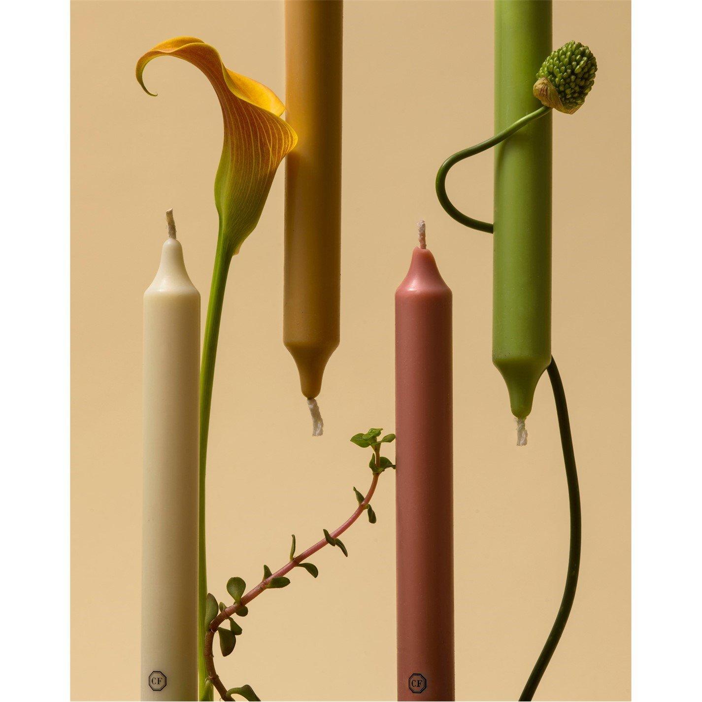 Spearmint - Carriere Freres - Scented Taper Candles - Pack of 6 - 5