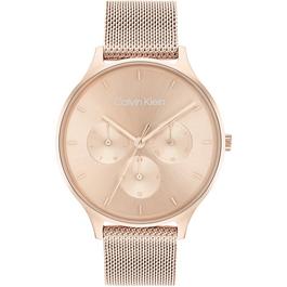 Calvin Klein Ladies Calvin Klein Mesh Watch