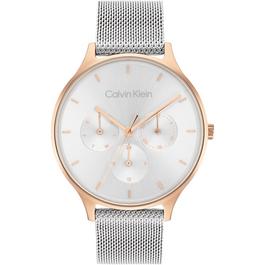 Calvin Klein Ladies Calvin Klein Mesh Watch