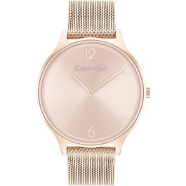 Calvin Klein Ladies Calvin Klein Mesh Watch