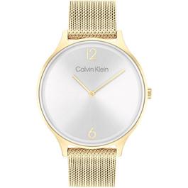 Calvin Klein Ladies Calvin Klein Mesh Watch