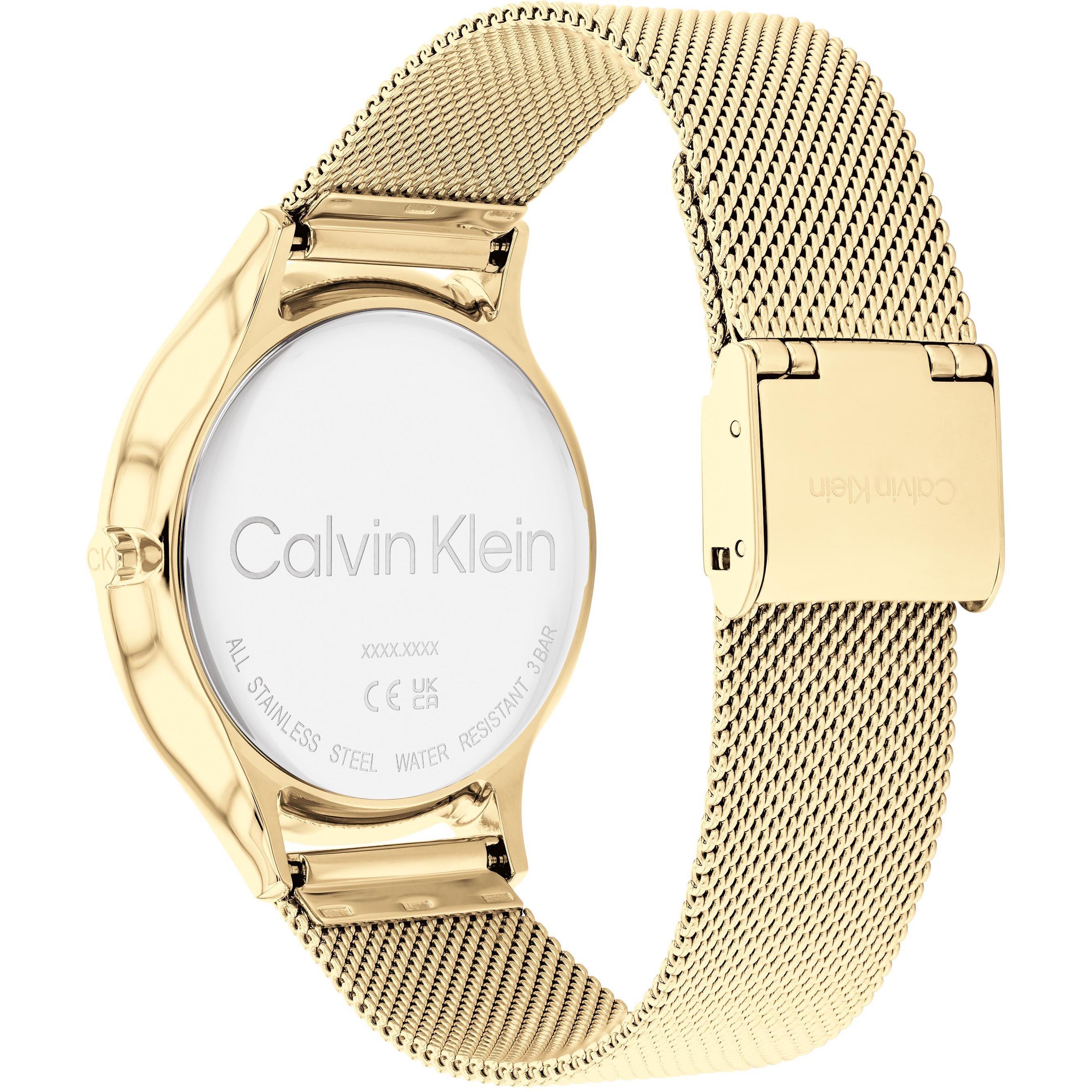 Gold - Calvin Klein - Ladies Calvin Klein Mesh Watch - 3