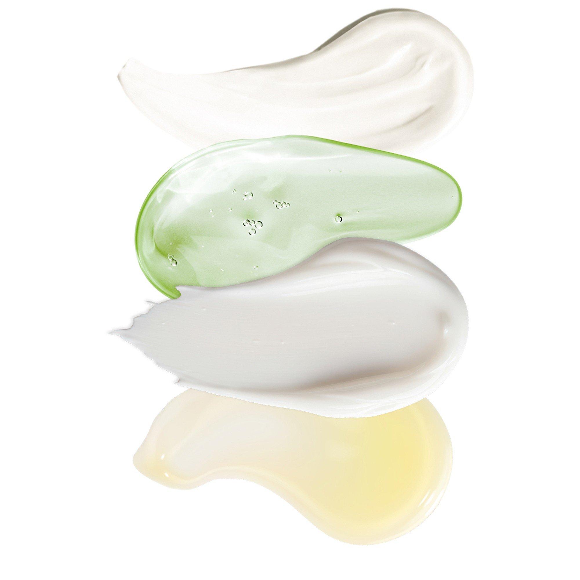 Not Applicable - Seed to Skin - Traveller Collection Kit - 2