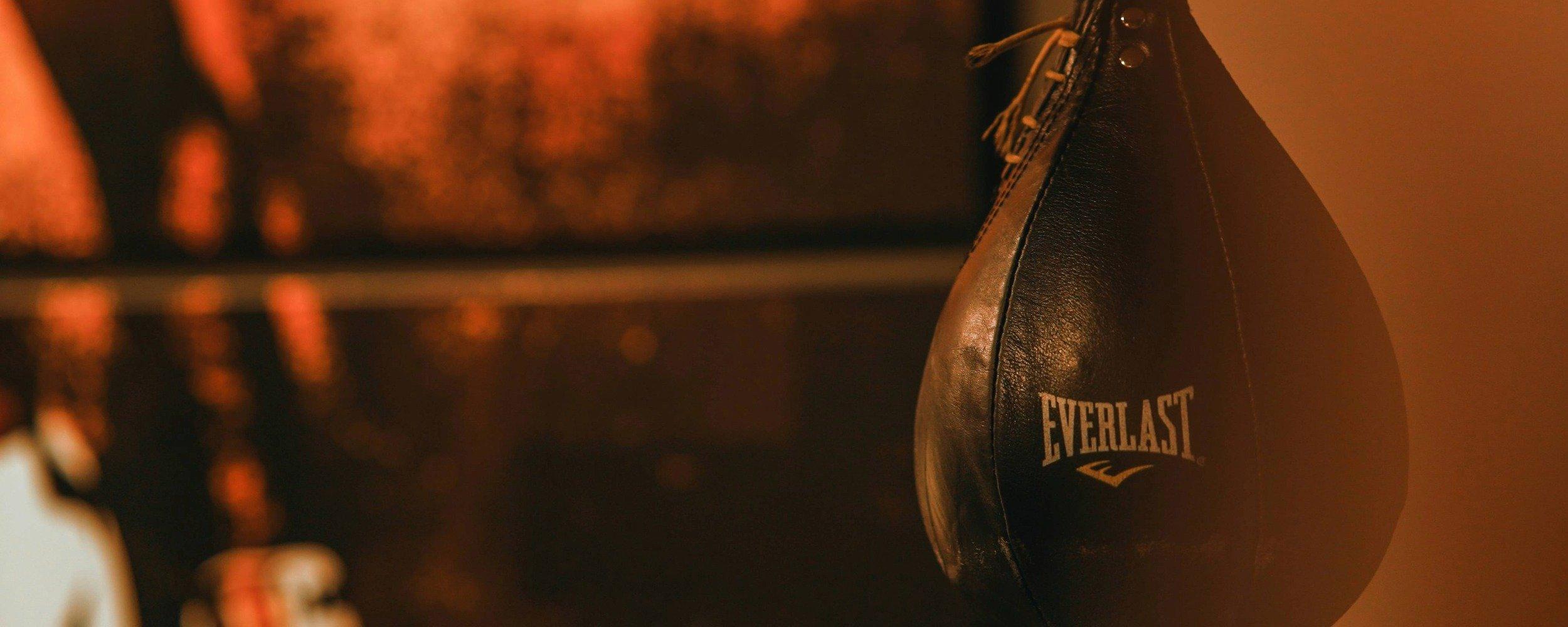 Boxing gloves against the ropes