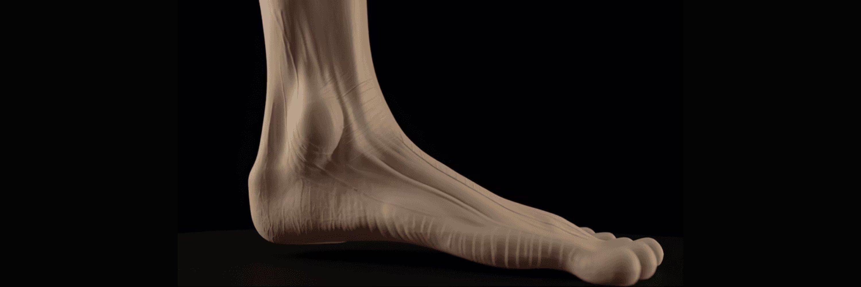 The Feet and Trainers of the Future using AI | Sports Direct