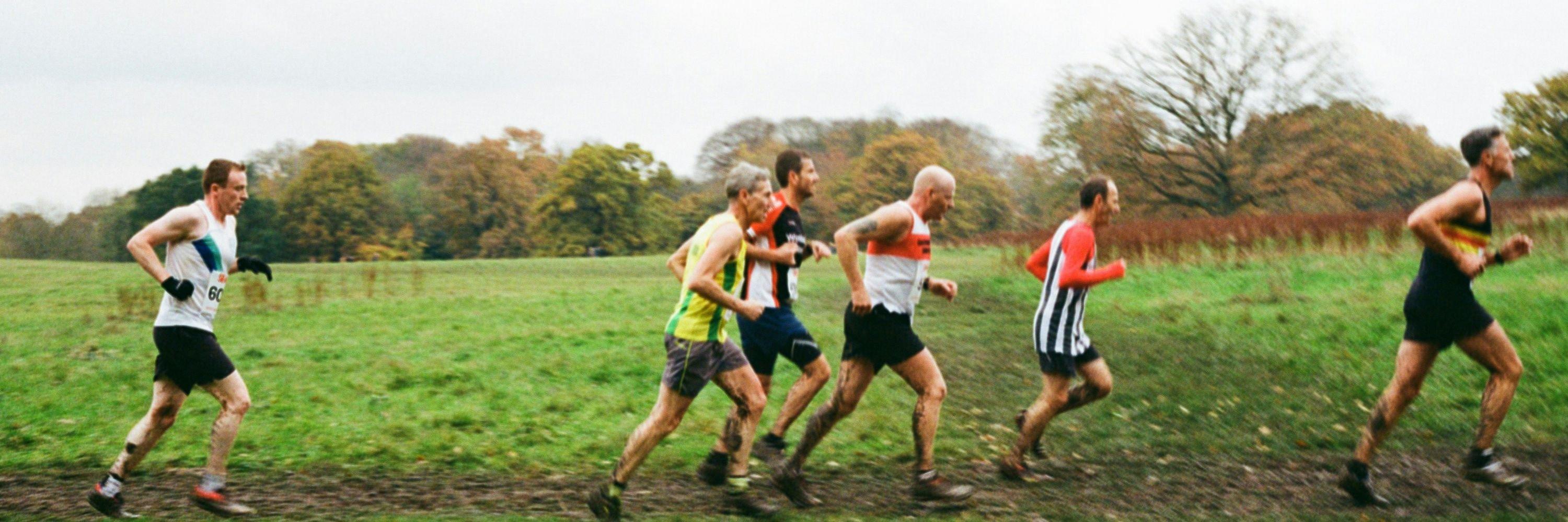 No Entry Fee, No Pressure, No Excuses - This Is Parkrun