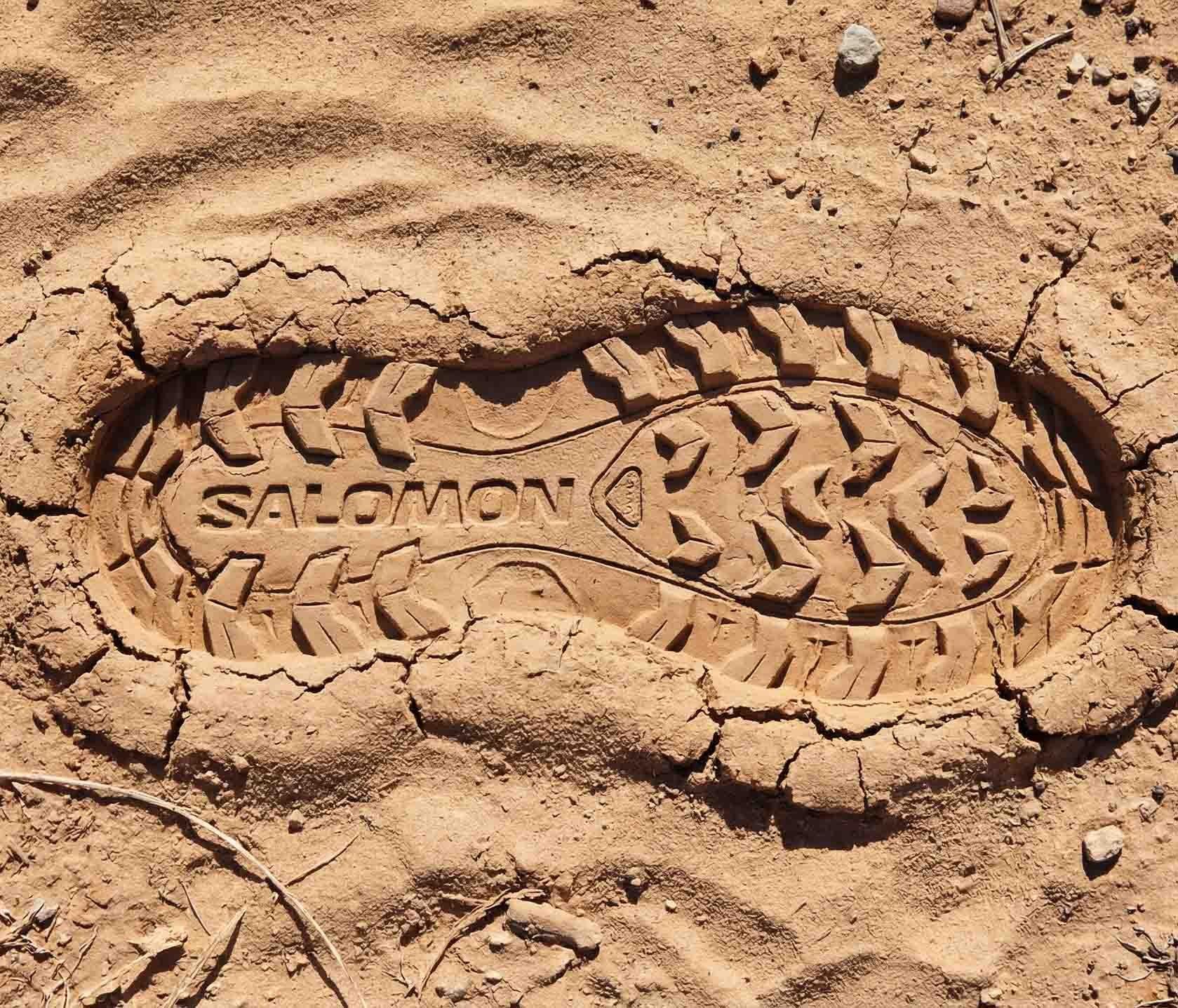 BRAND DIVE: SALOMON IN MOTION