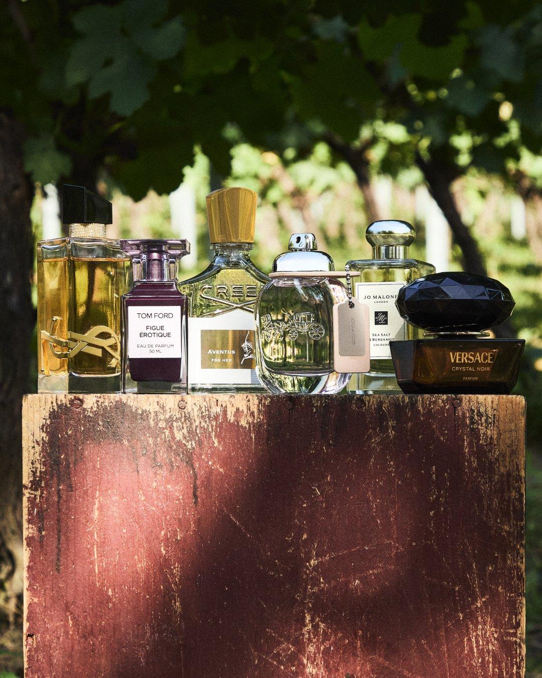 Fragrances under £50
