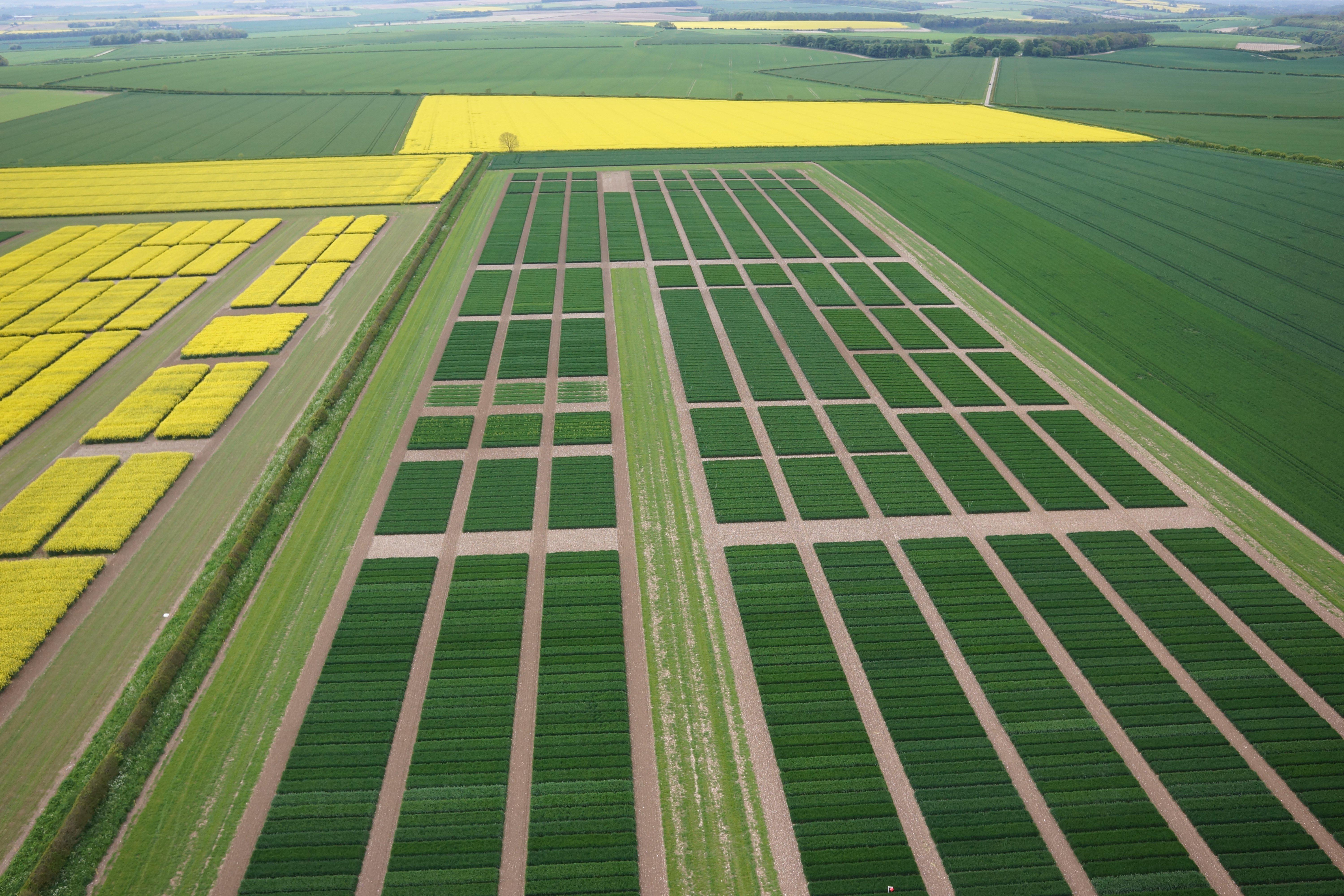 aerial-site-view