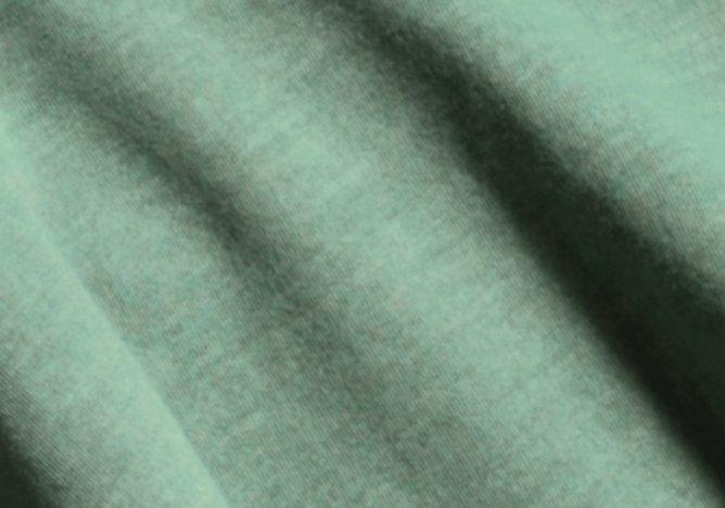 Organic Cotton VintageSoft T-Shirt