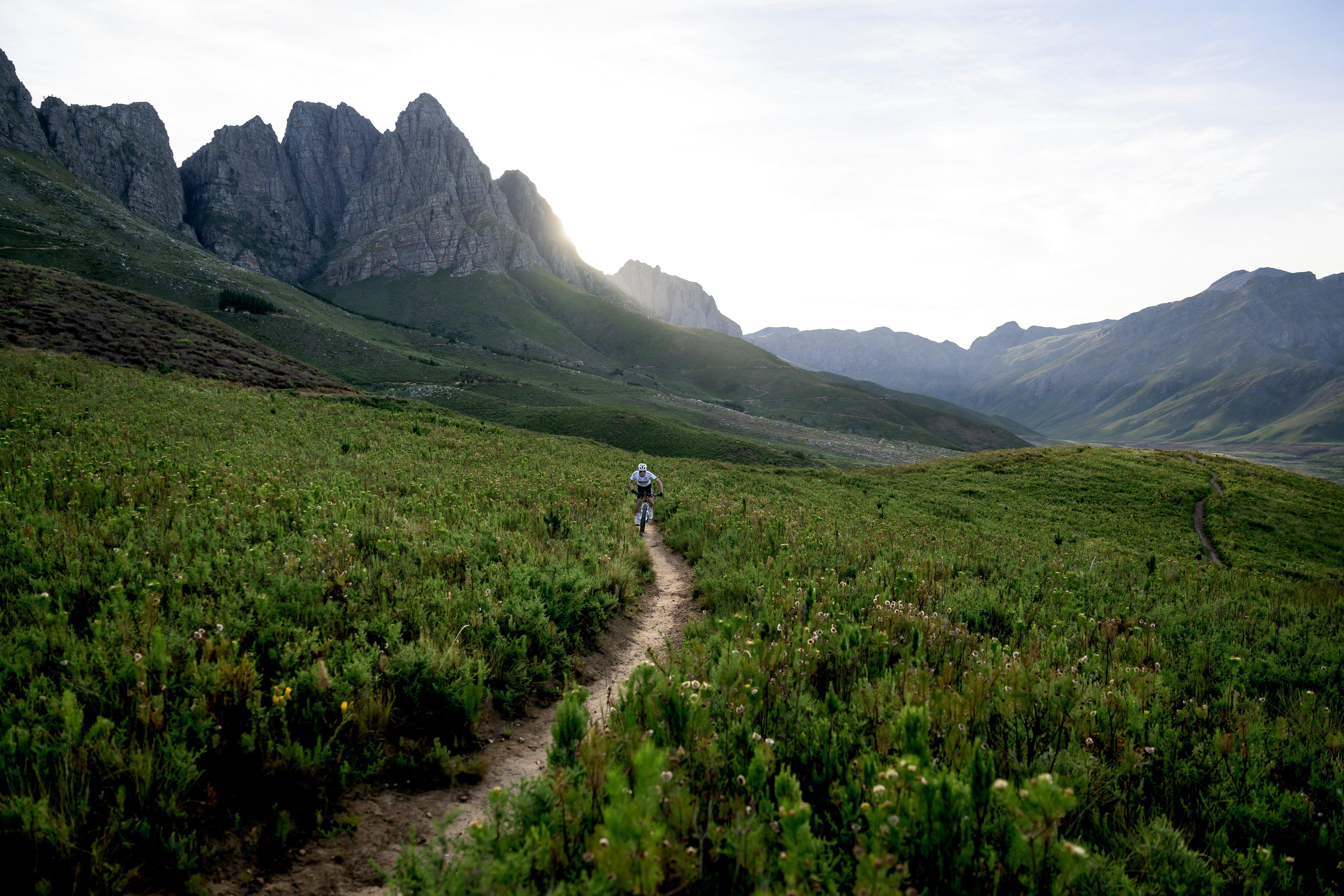 a person riding a bike through a lush green field