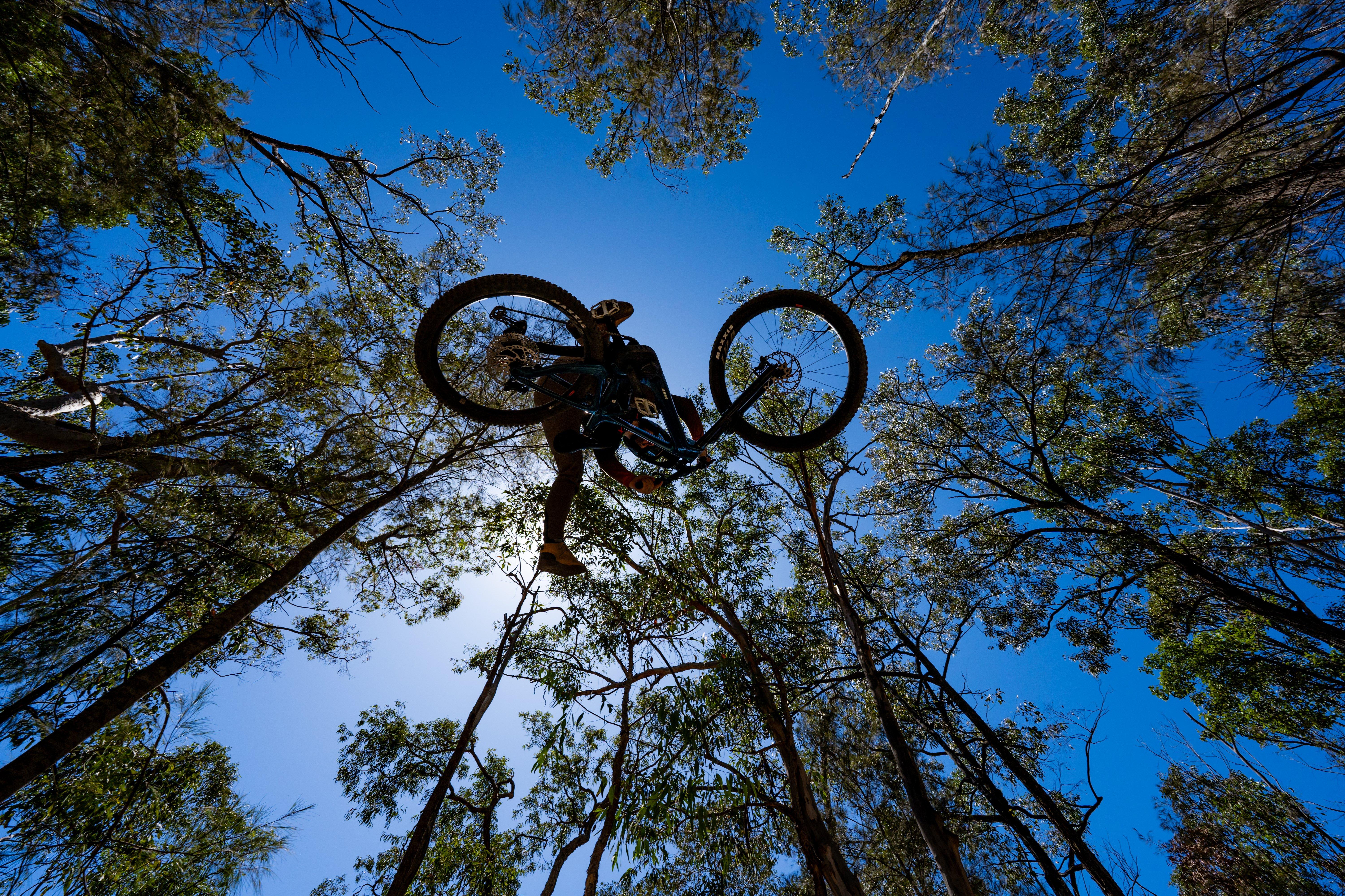 a person riding a bike through the trees in the forest