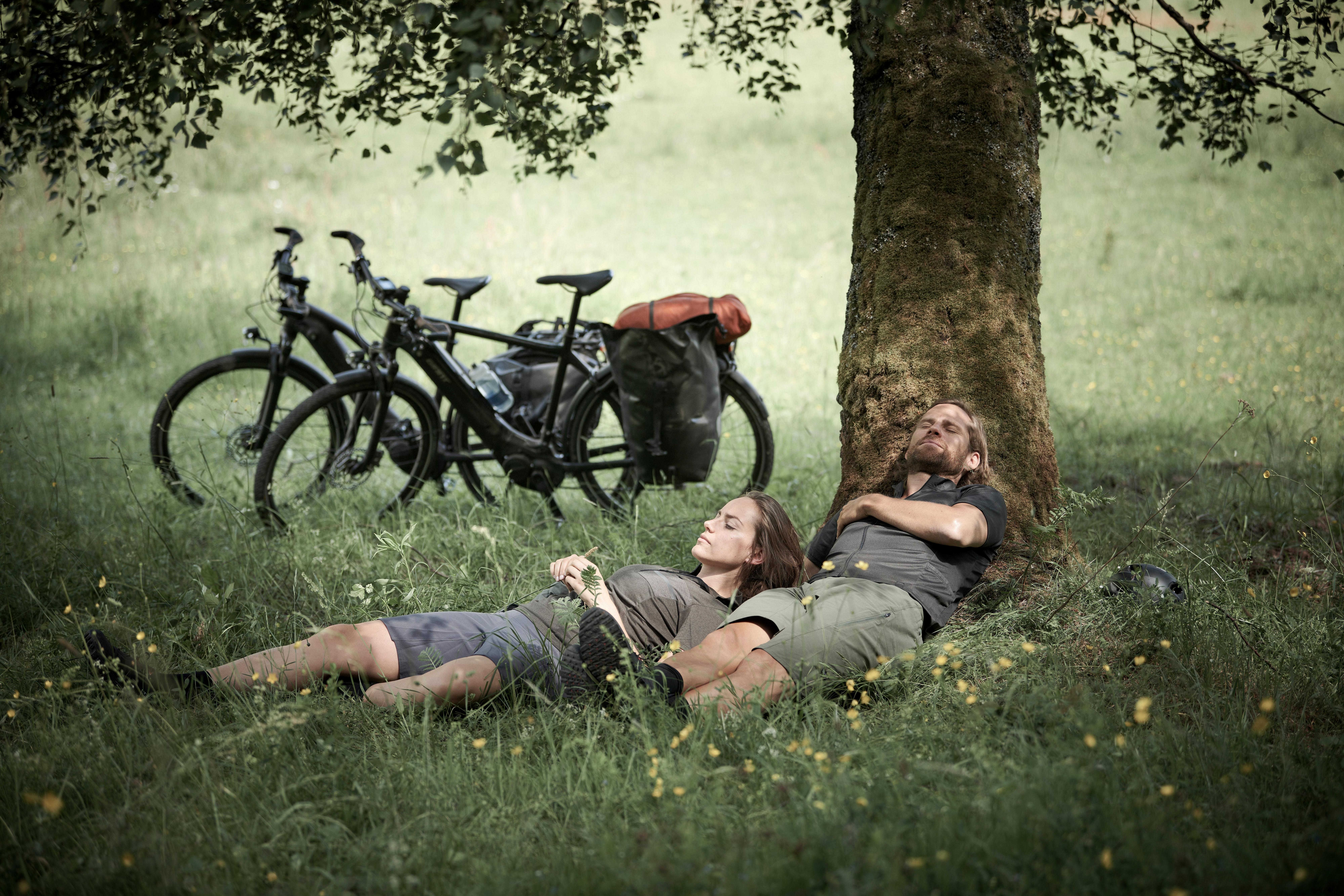 a couple of a couple laying down next to a tree
