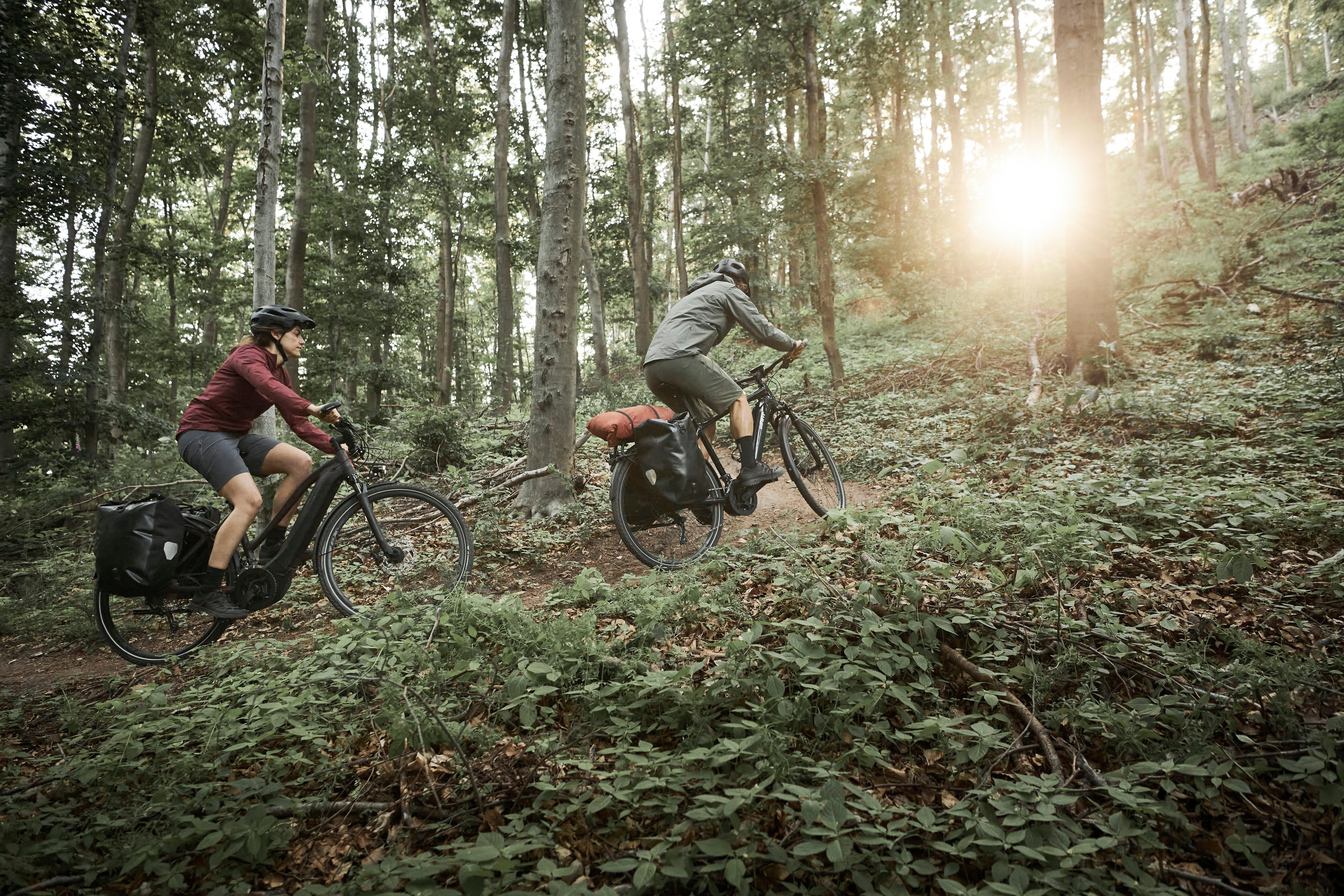 two people riding bikes through a forest on a sunny day