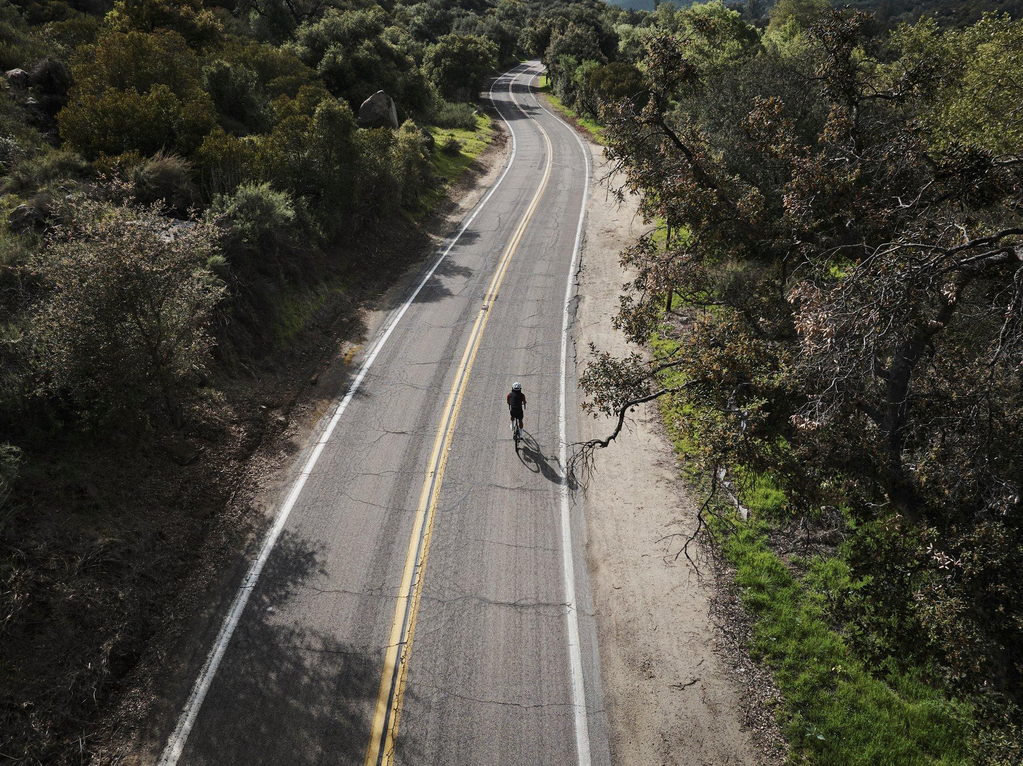 a person riding a bike down a long road surrounded by trees