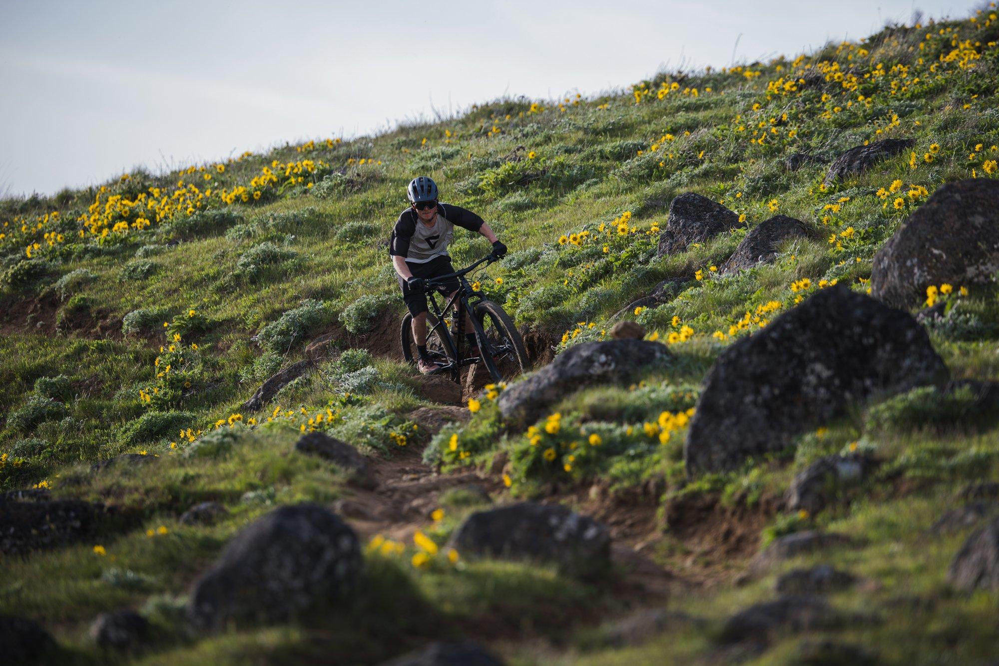 a mountain biker rides down a hill with yellow flowers
