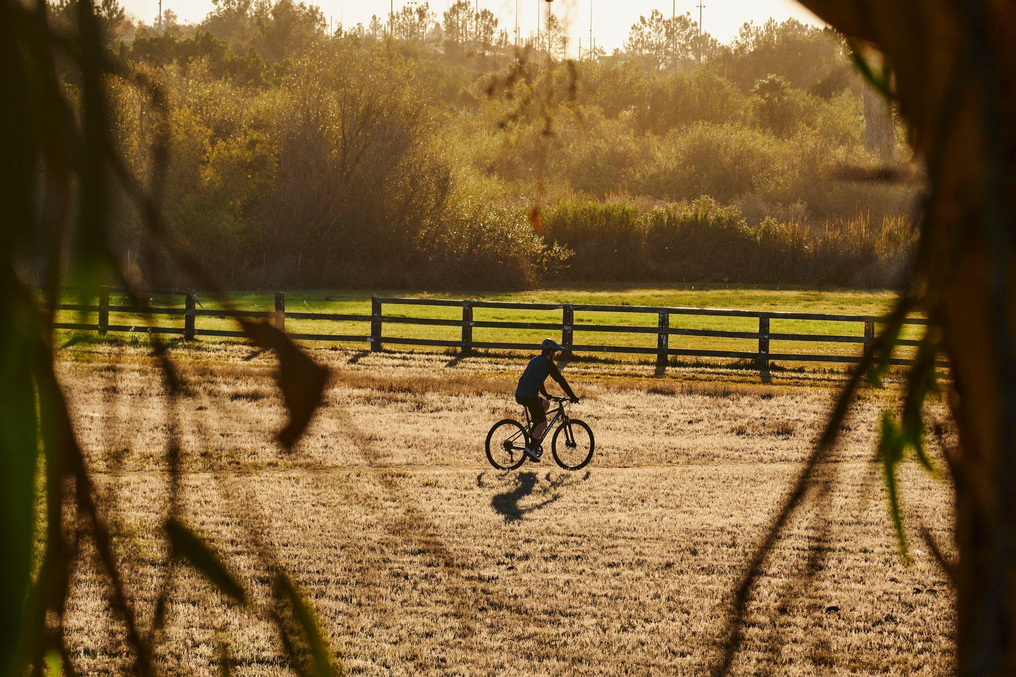 a person riding a bike in a field with a tree in the background