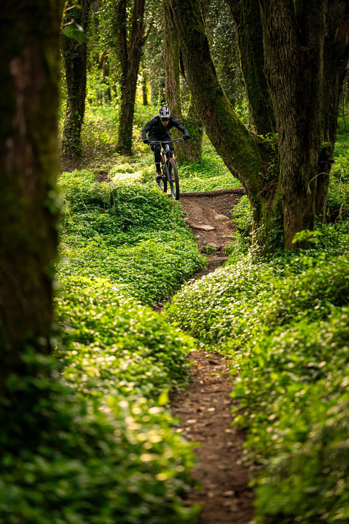a mountain biker rides through a lush green forest