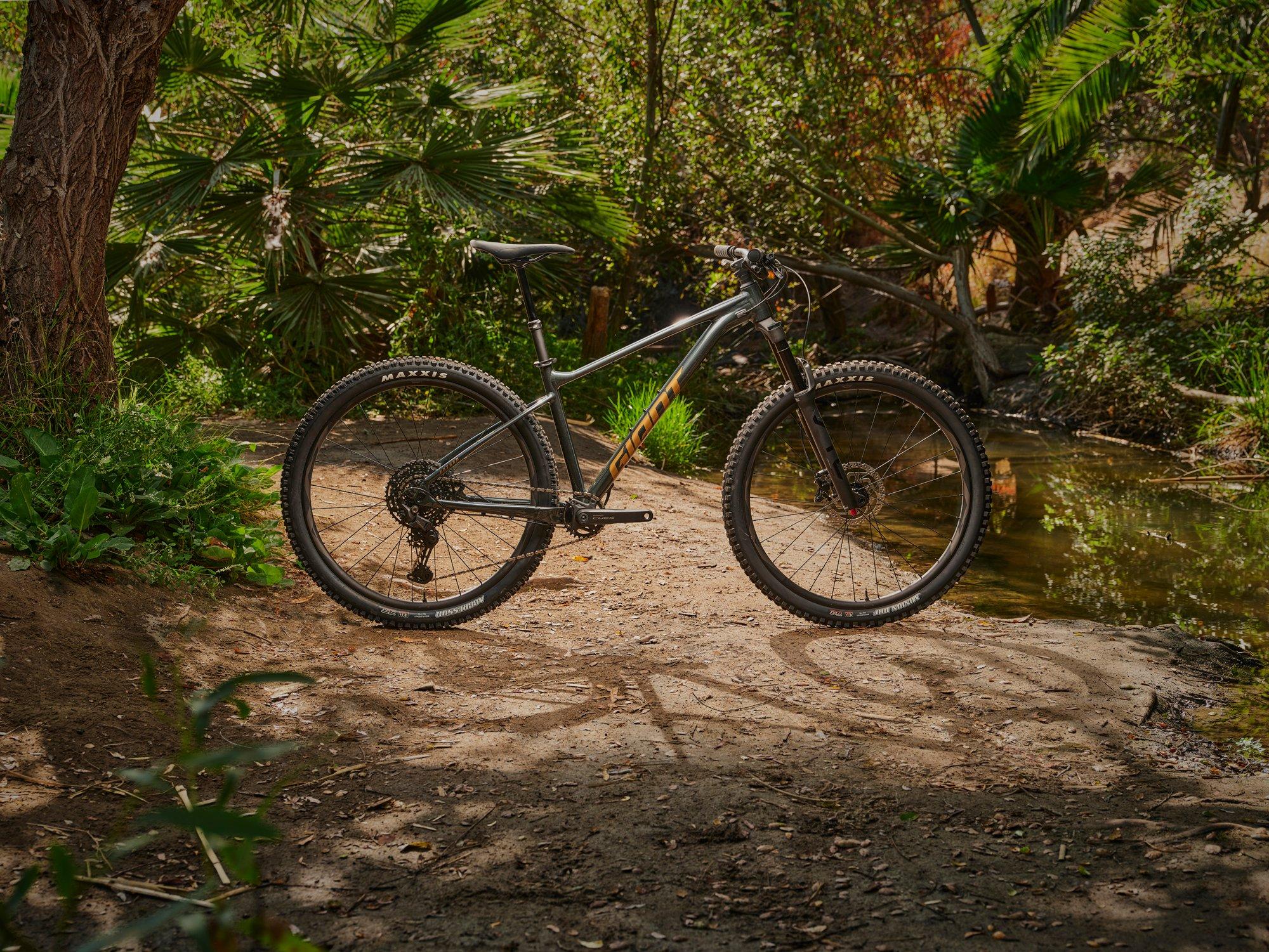 a mountain bike is parked on a dirt path near a stream