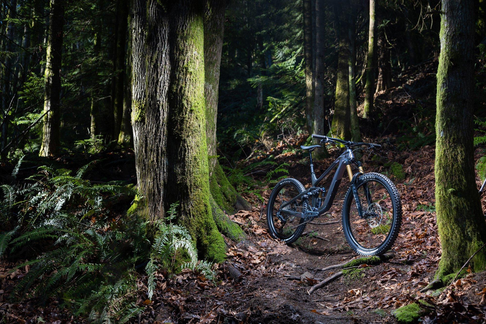 a mountain bike is parked in the middle of a forest
