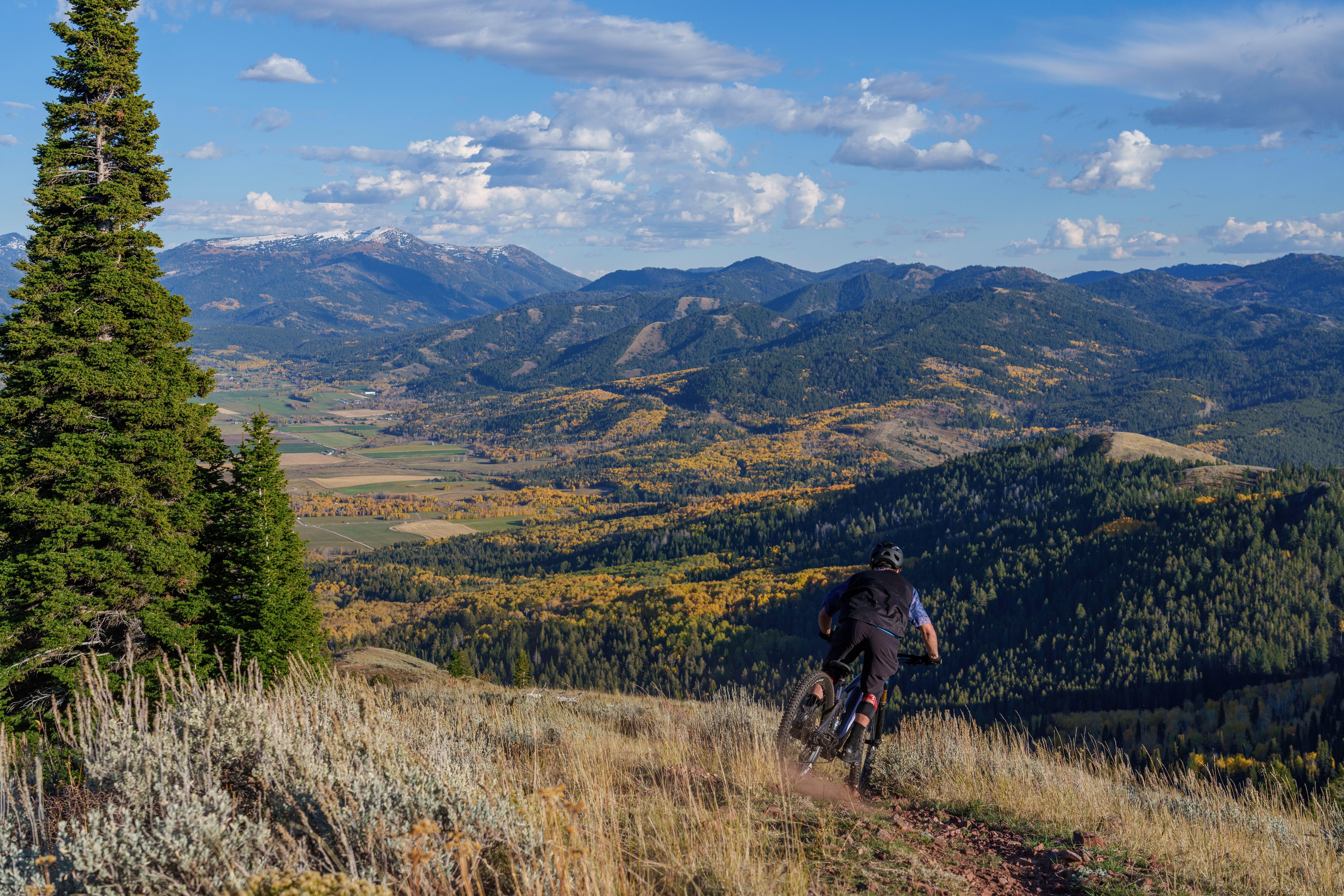 a man riding a mountain bike on a trail in the mountains
