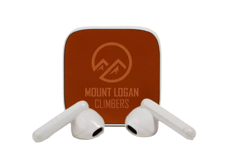 Terratone Cordless Headphones