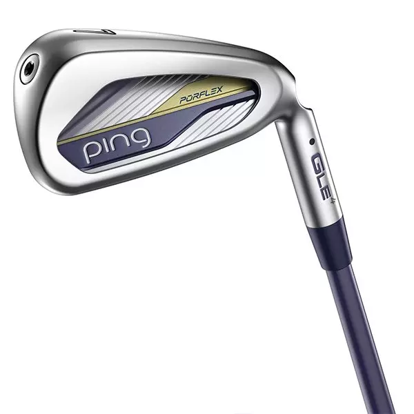 G Le4 Irons