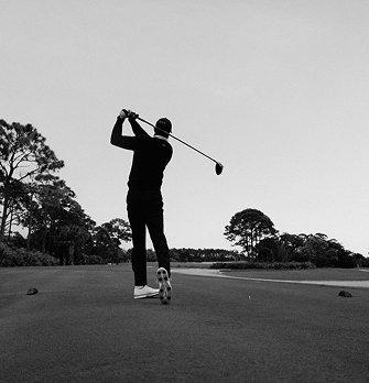 Sun Day Red - Tiger Woods