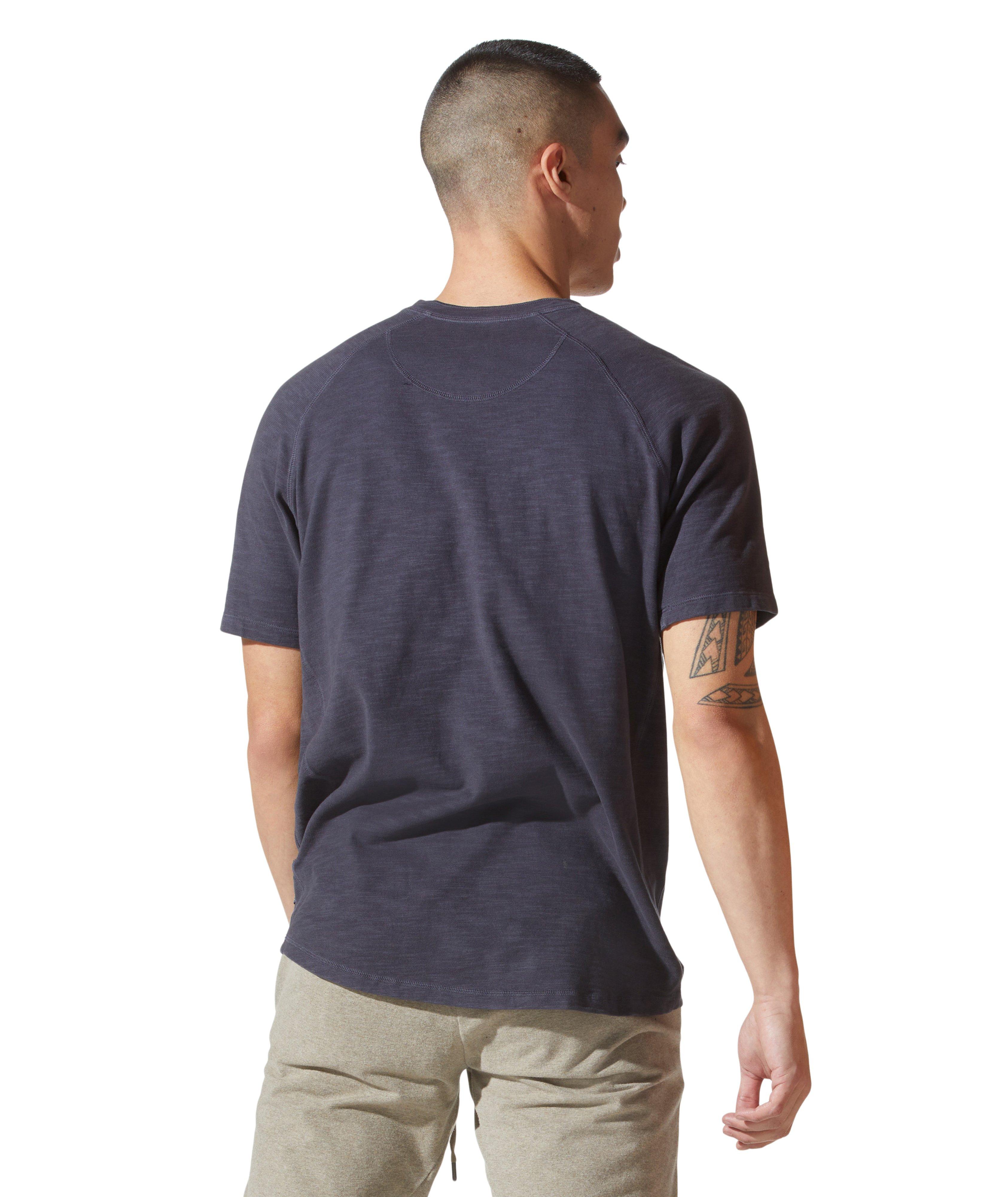 Soft Slub Jersey Legend Henley image 2