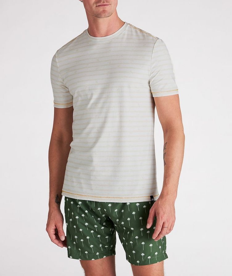 Faded Stripe Cotton T-Shirt image 1