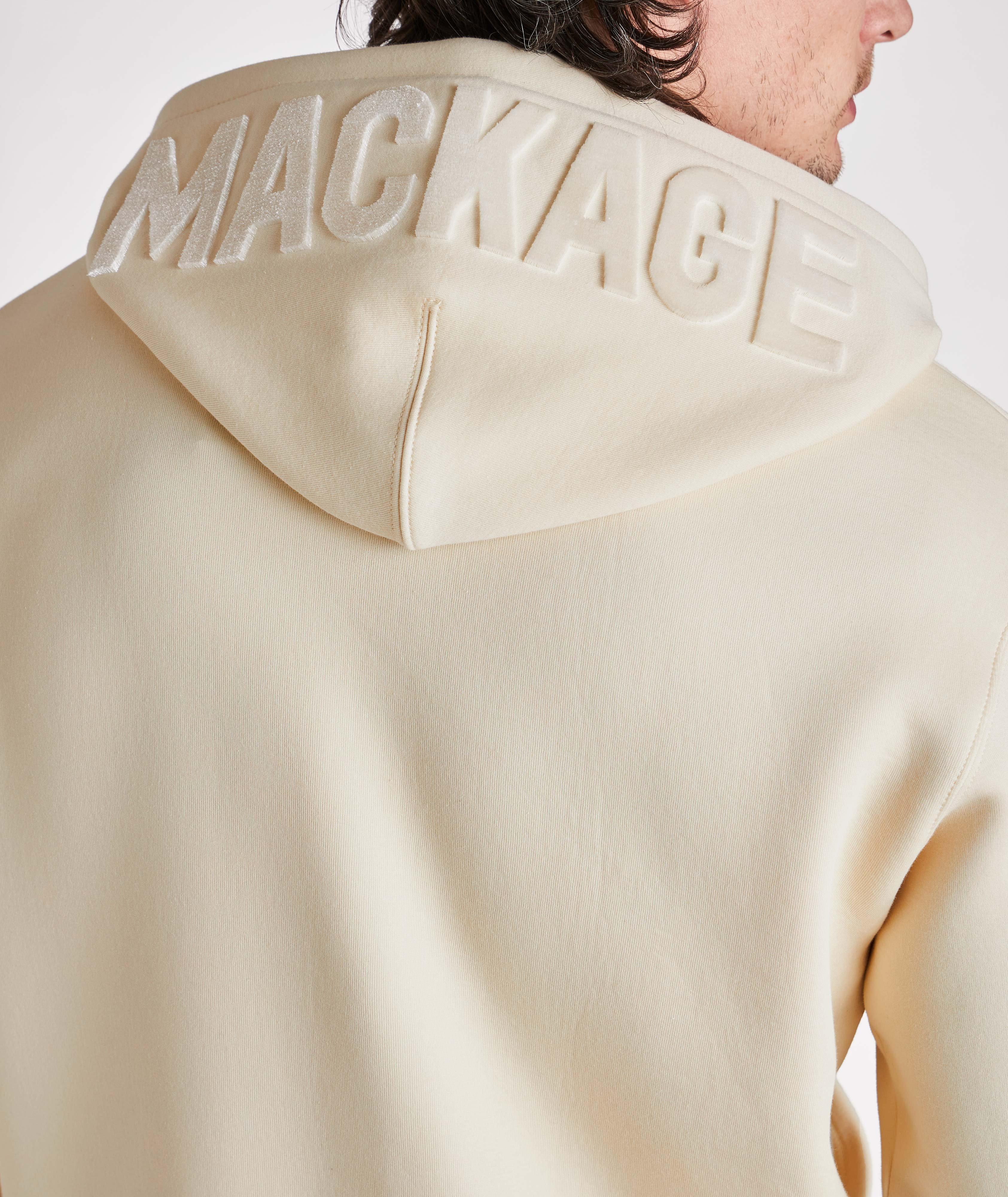 Velvet Embroidery Logo Hoodie image 4