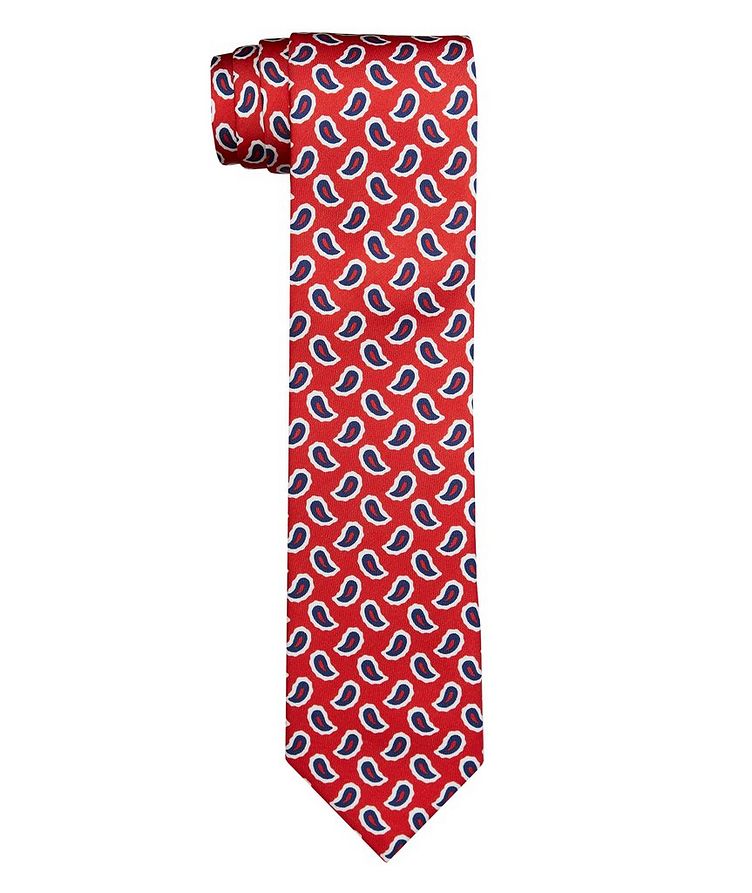Contemporary Paisley Silk Tie  image 0