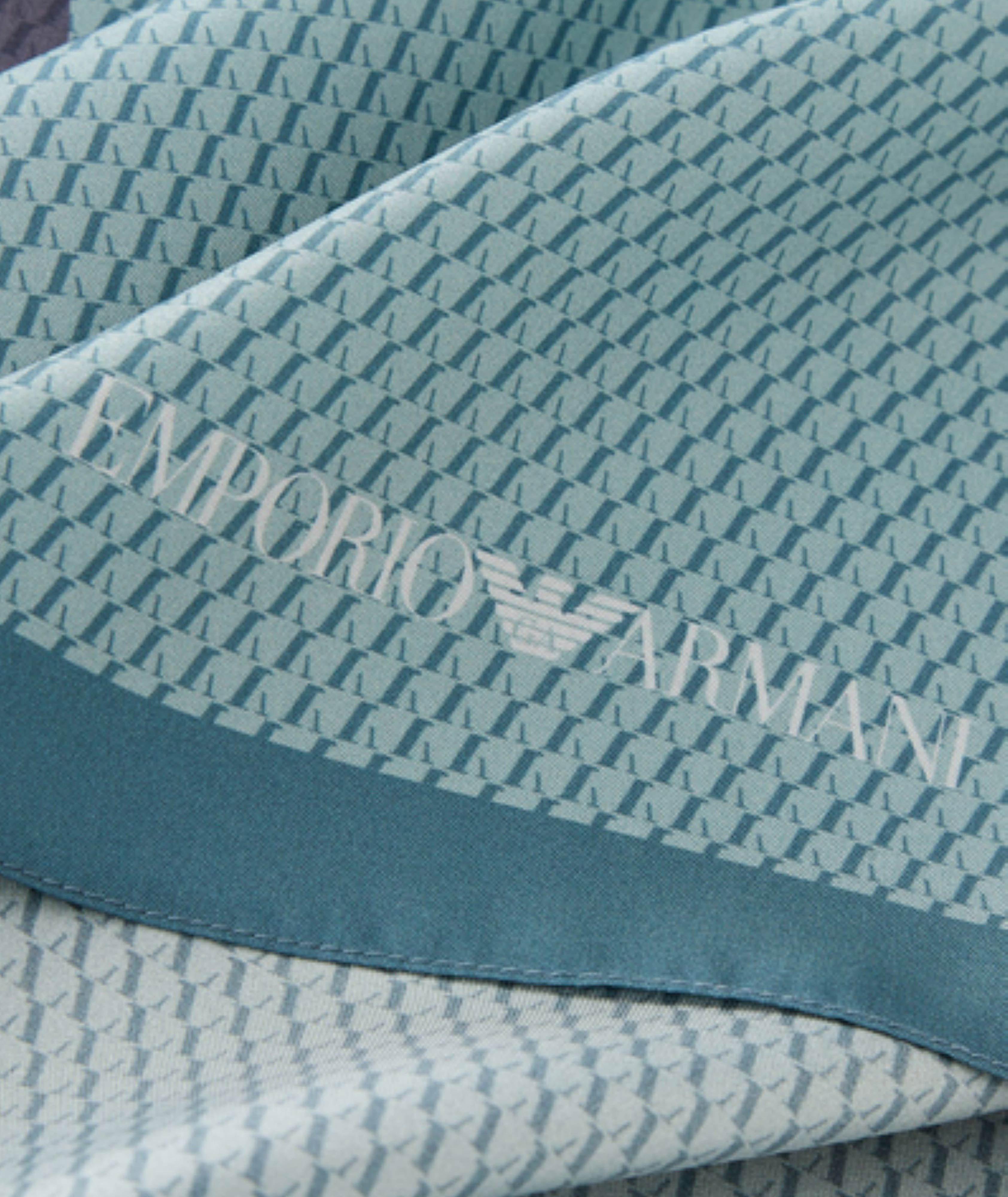 Silk Printed Scarf image 2