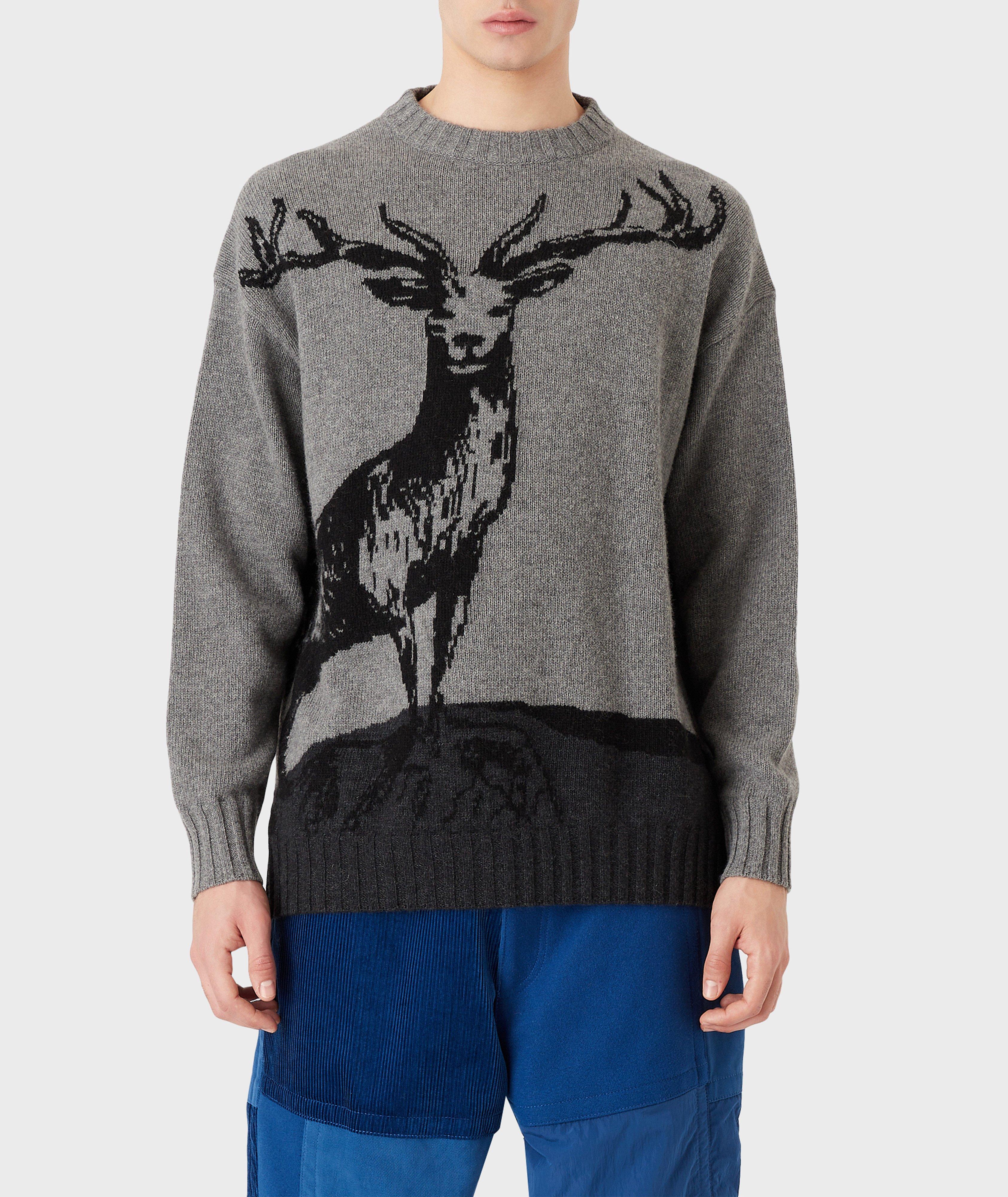 Pull en tricot intarsia, collection écoresponsable EArctic image 2