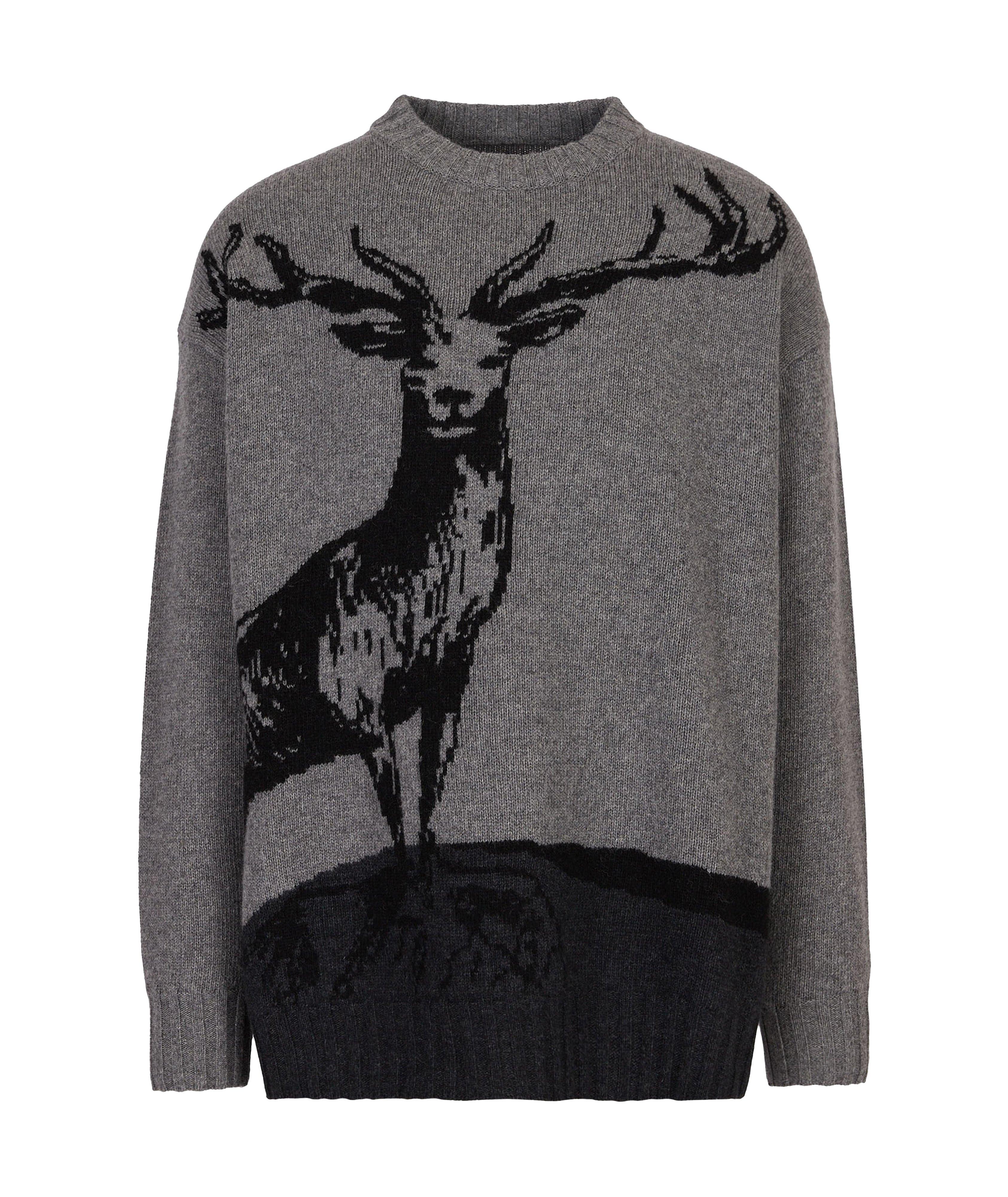 Pull en tricot intarsia, collection écoresponsable EArctic image 0