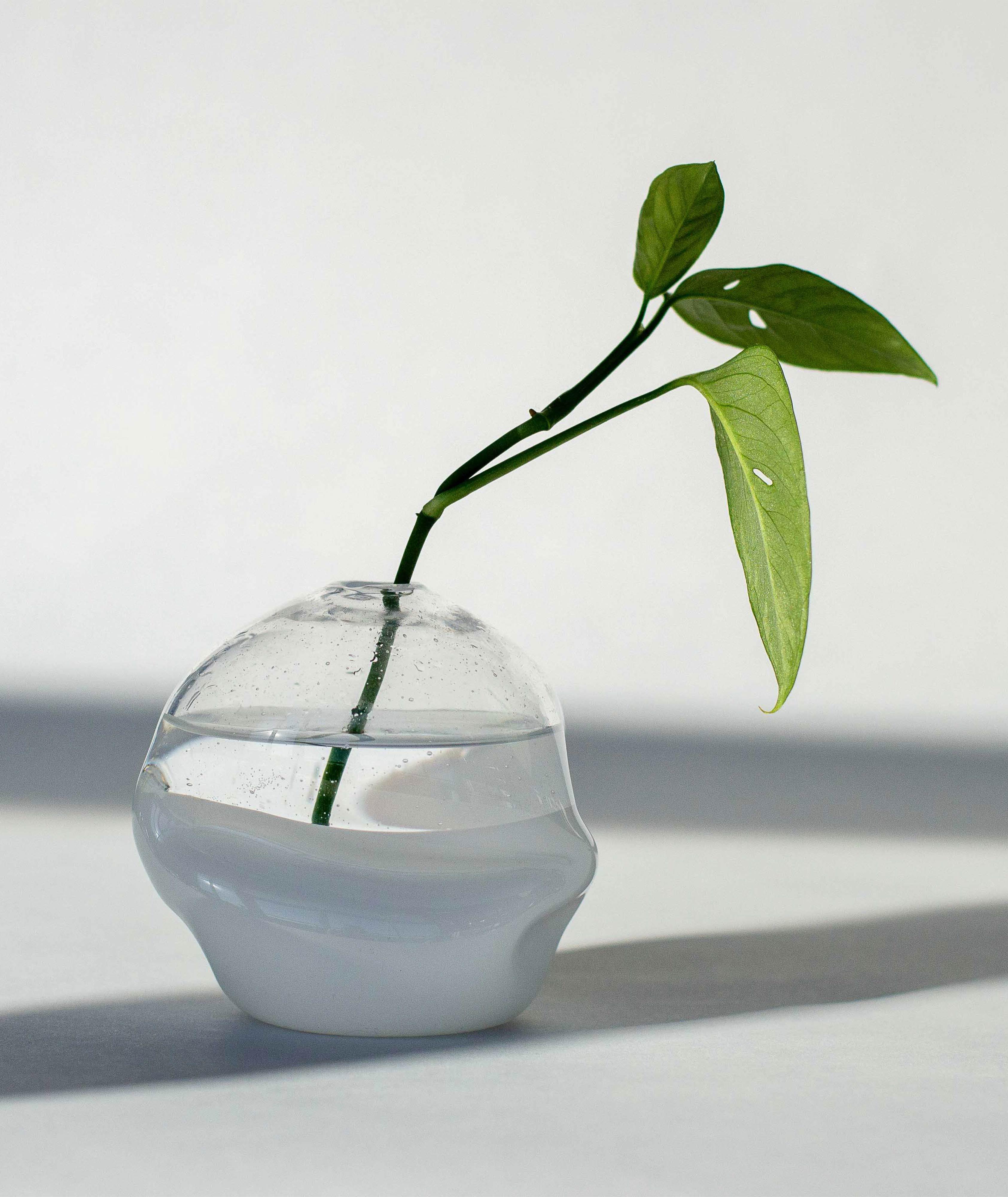 Splash Bottom Softie Bud Vases image 2
