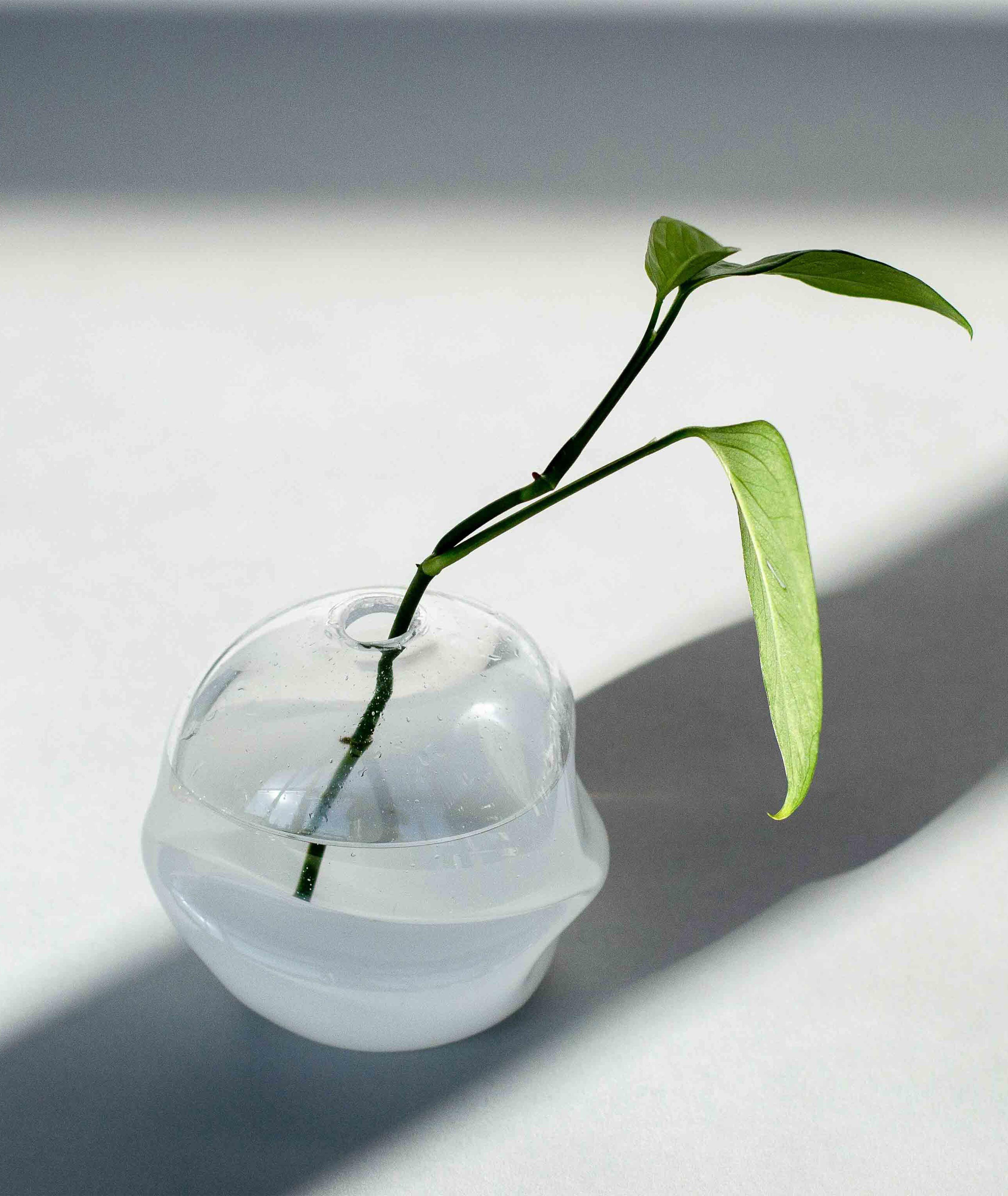 Splash Bottom Softie Bud Vases image 3