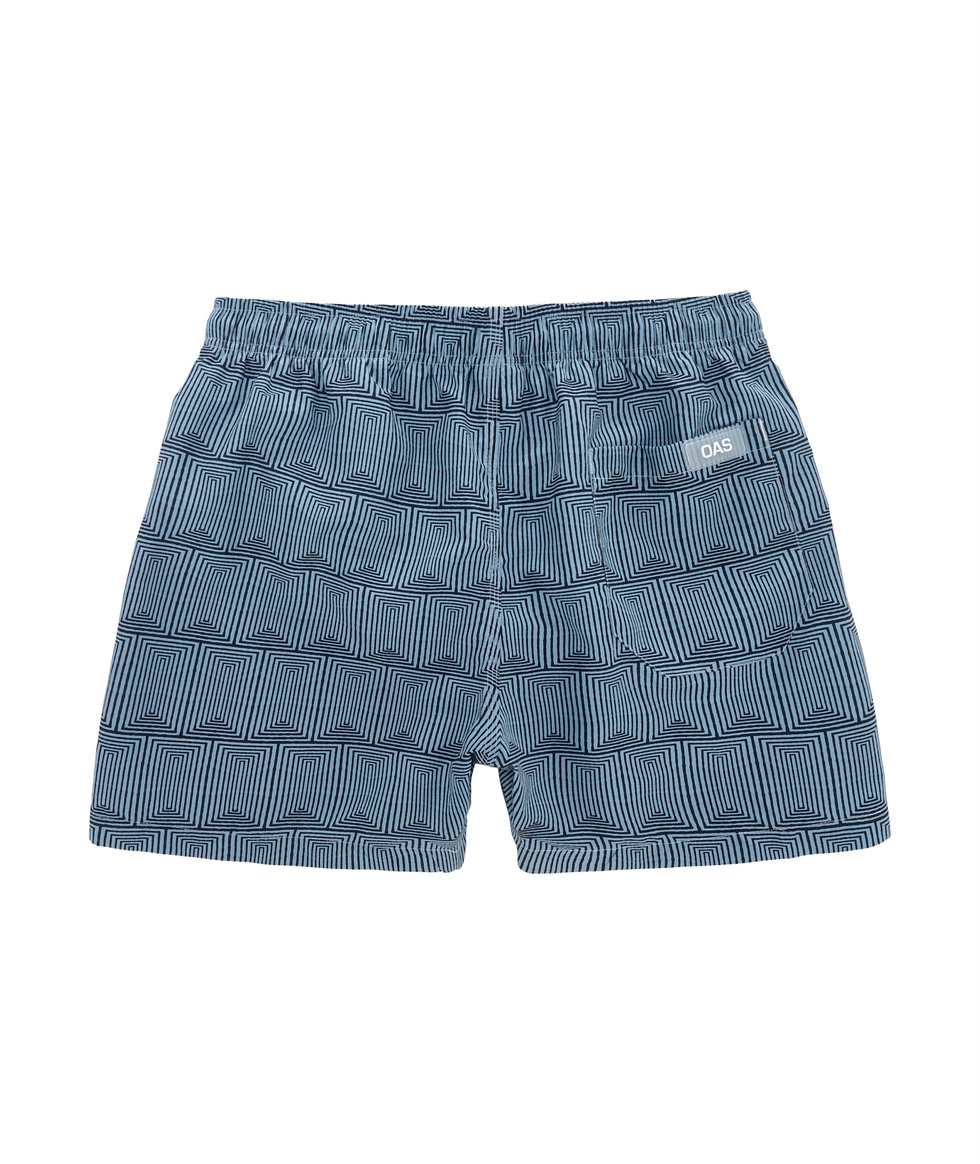 Indigo Frame Swim Shorts image 1