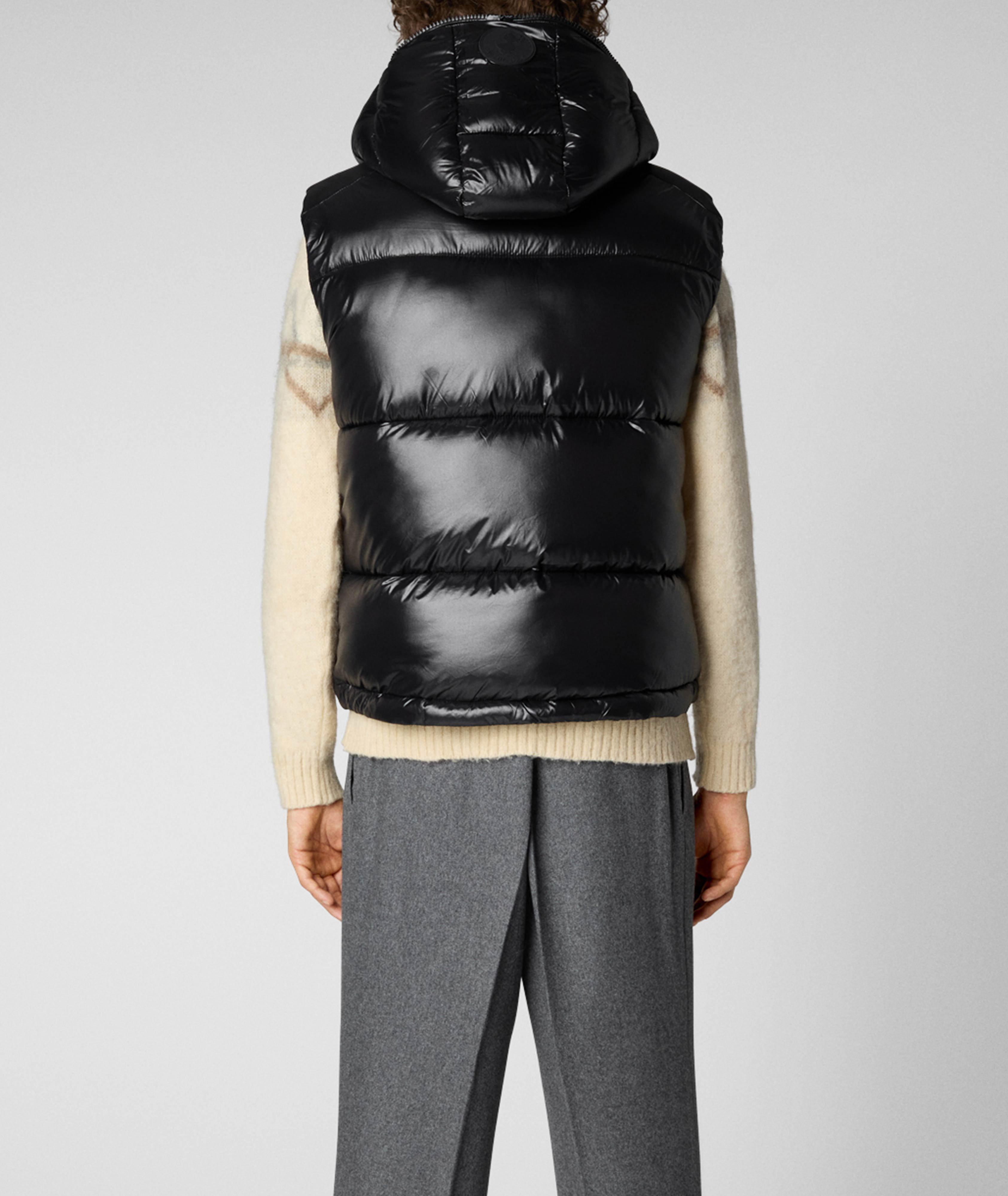 Dexter Hooded Puffer Vest image 2