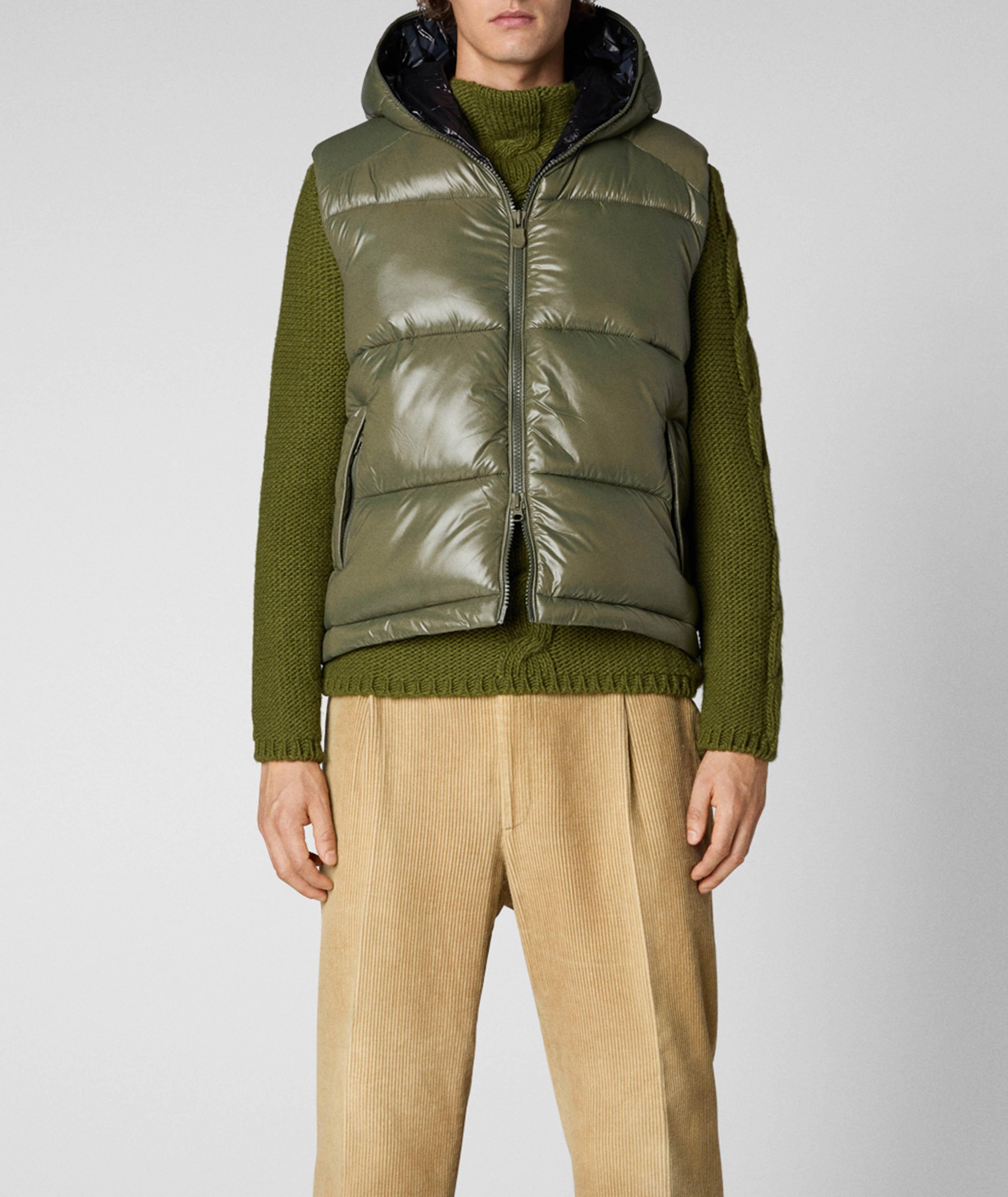 Dexter Hooded Puffer Vest image 1