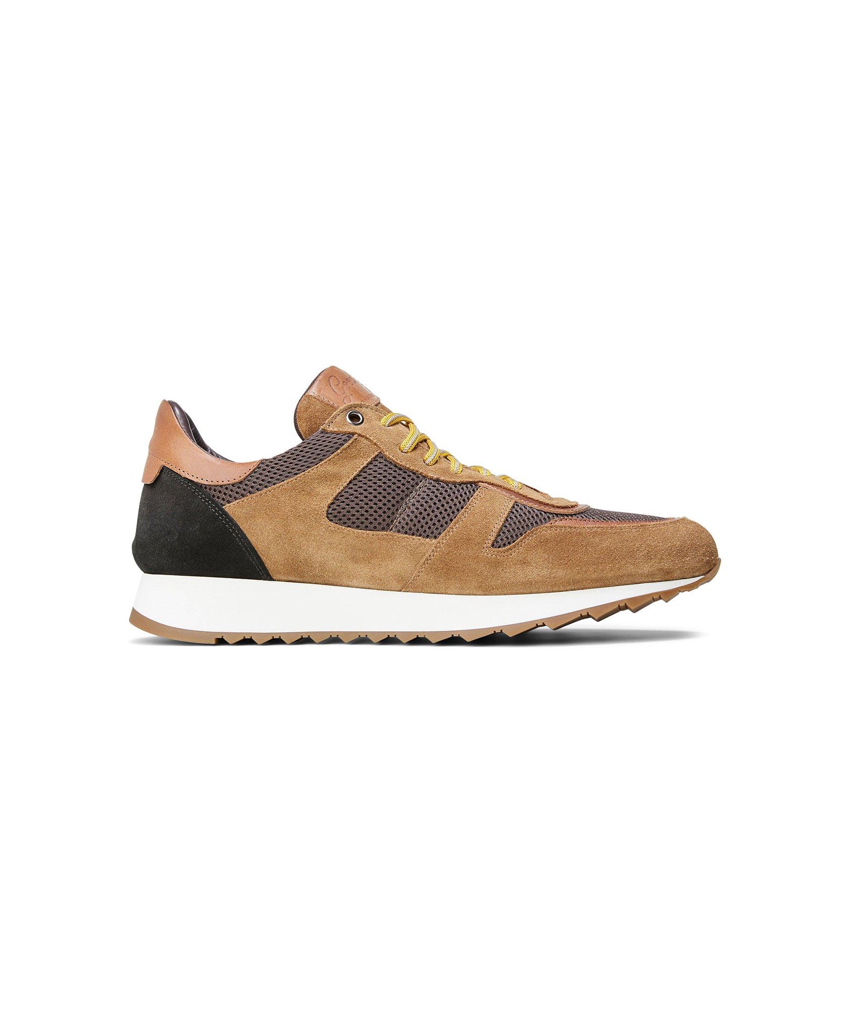 Multi Triumph Trainer image 1