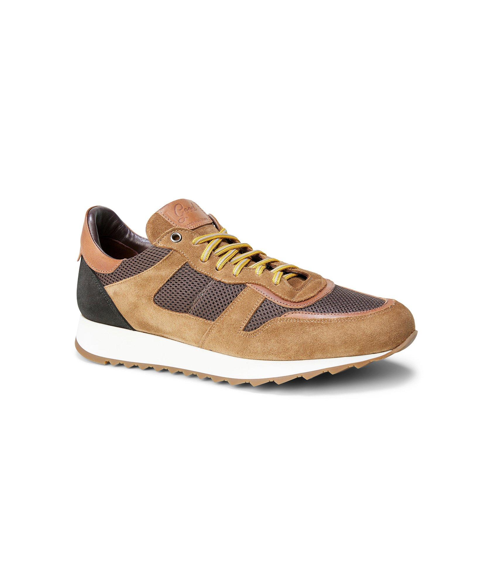 Multi Triumph Trainer image 4