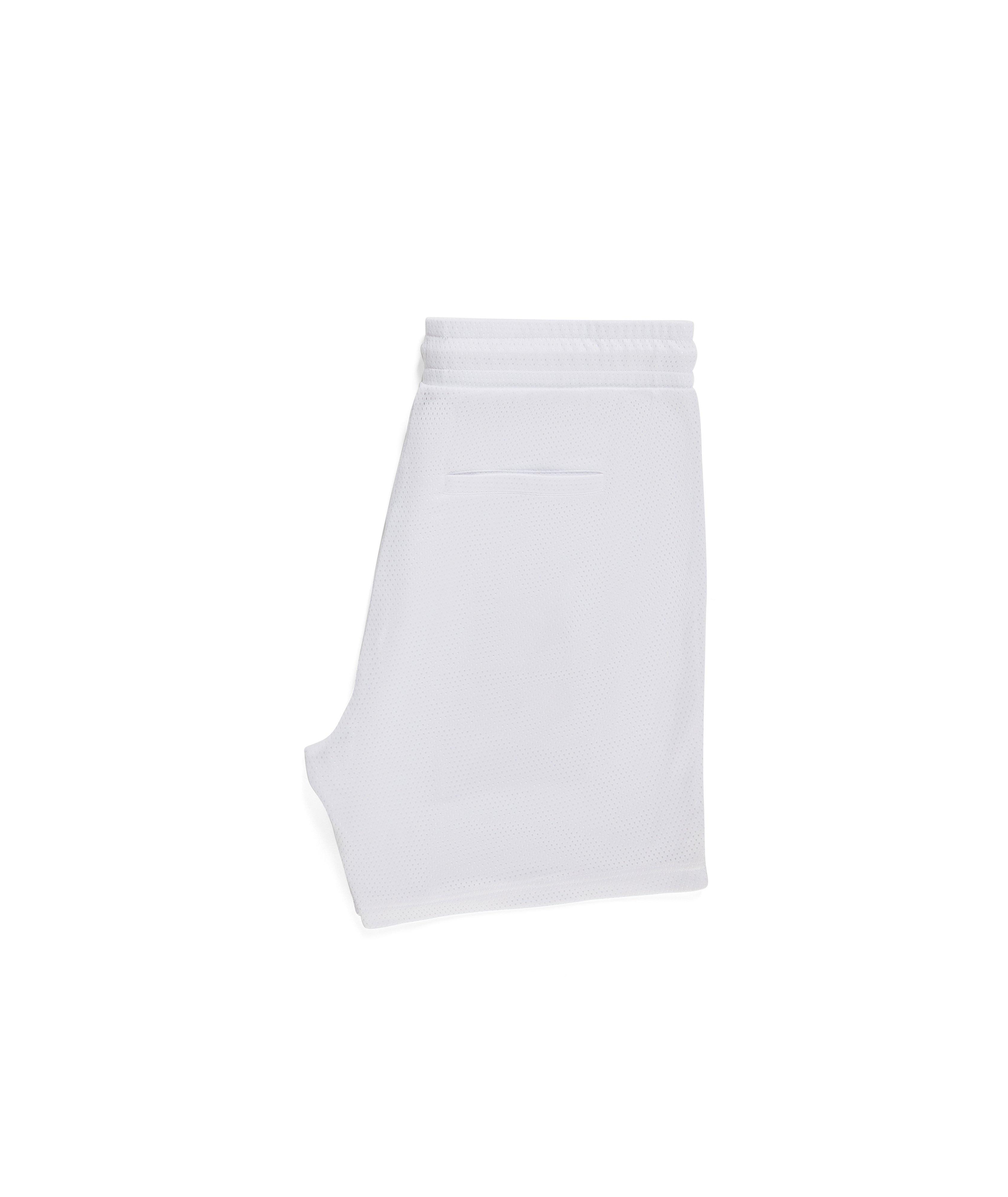 Strype Mesh Short image 1