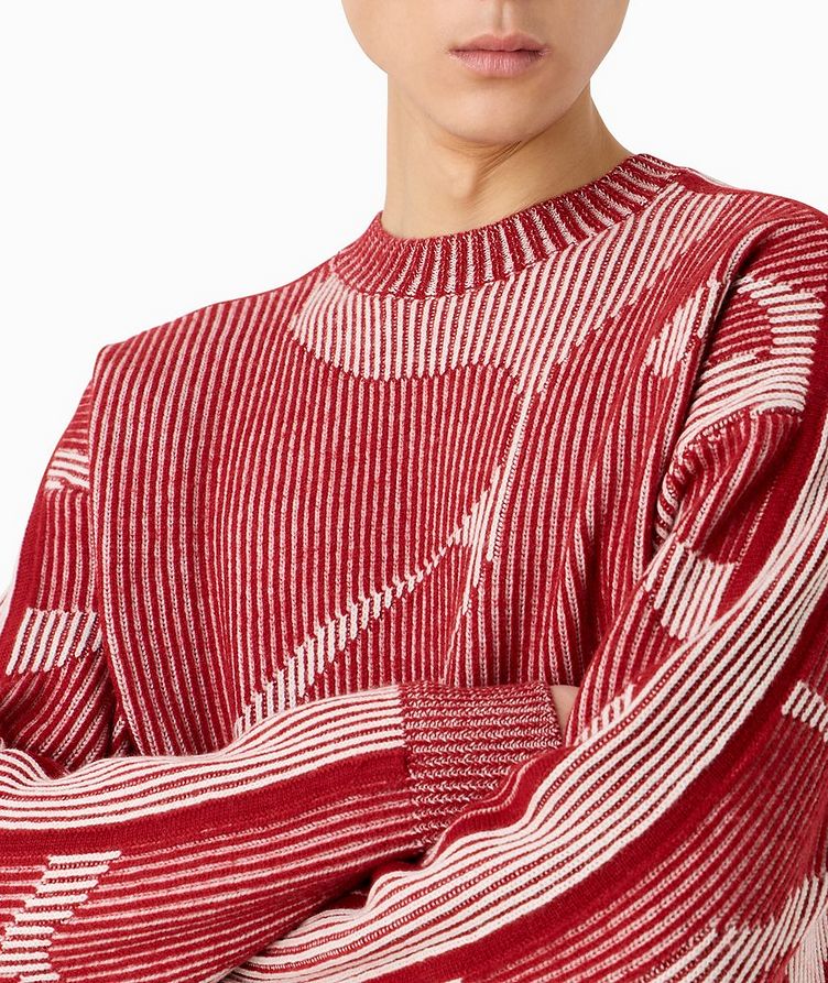 Abstract Jaquared Pattern Ribbed Knit Sweater  image 3