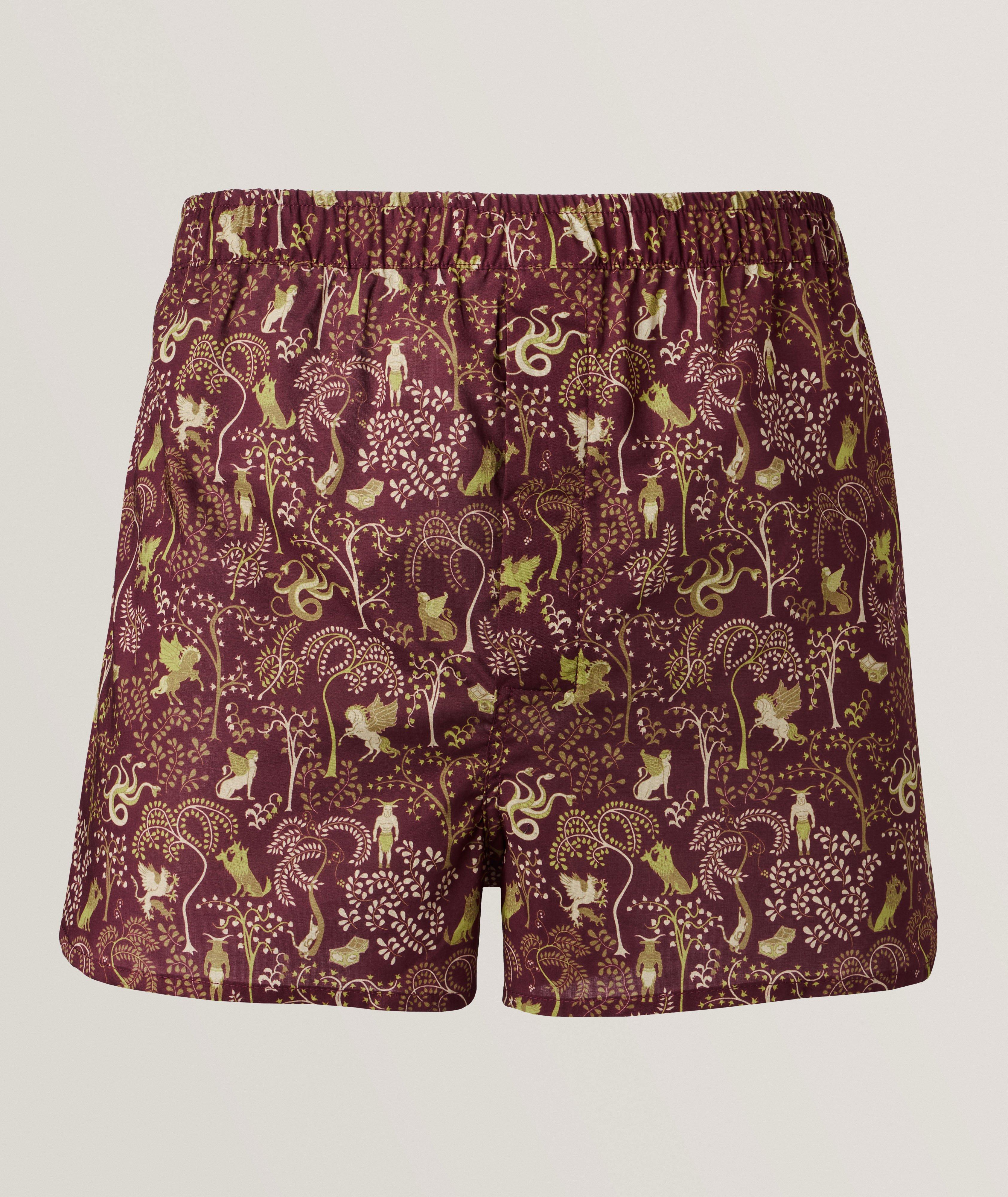 Greek Myth Creatures Boxer Briefs image 0
