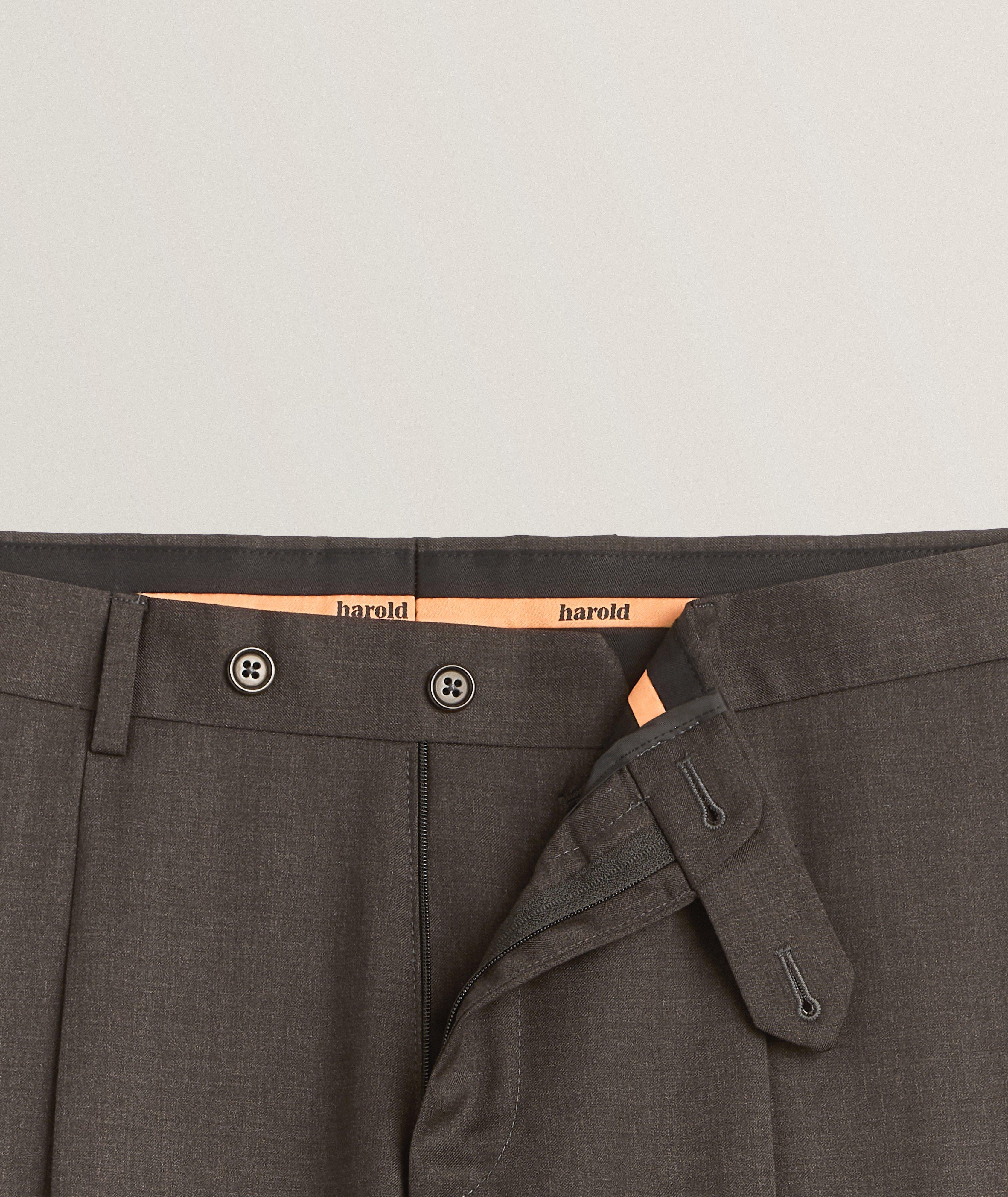 Mélange Pleated Wool Pants  image 1