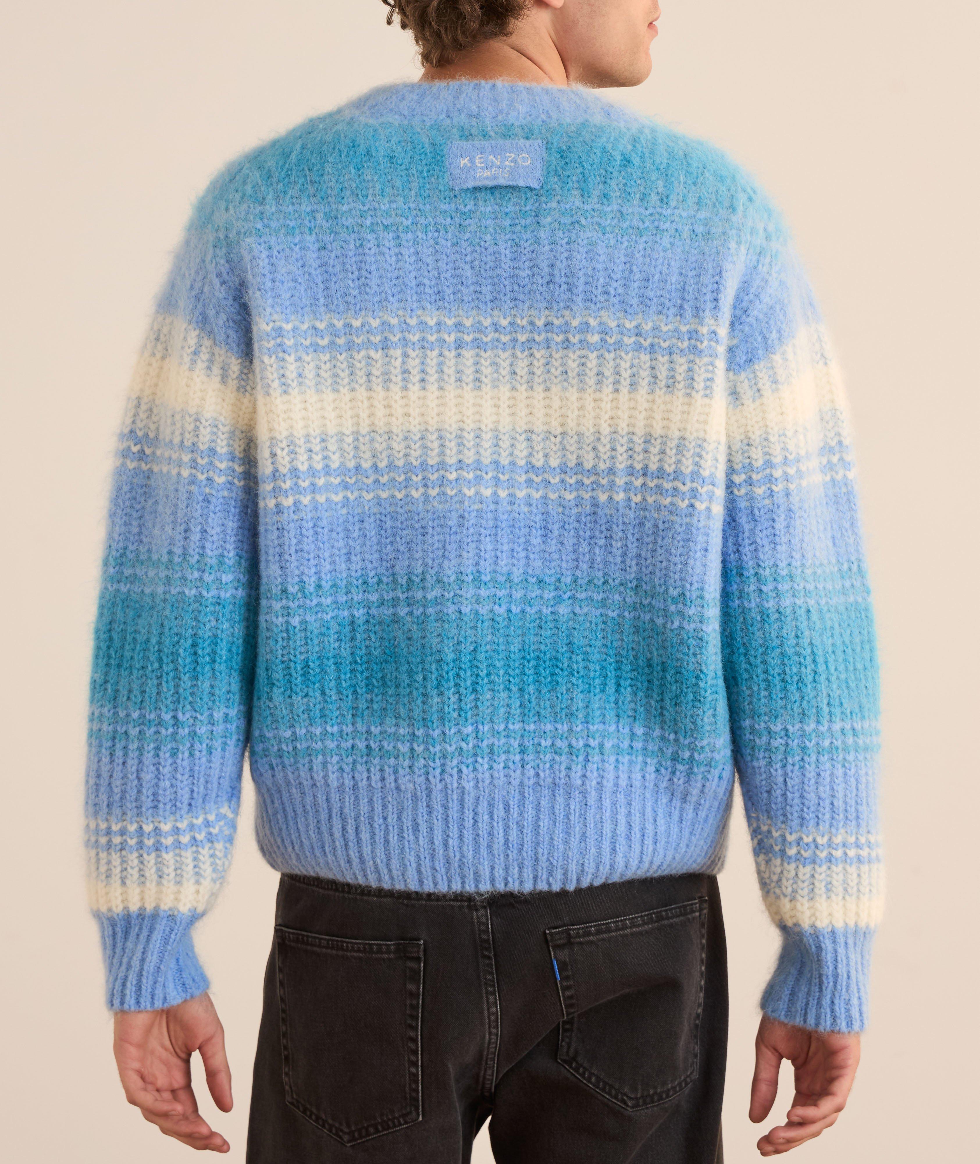 Pull à rayures en alpaga mélangé Speed Stripe image 2