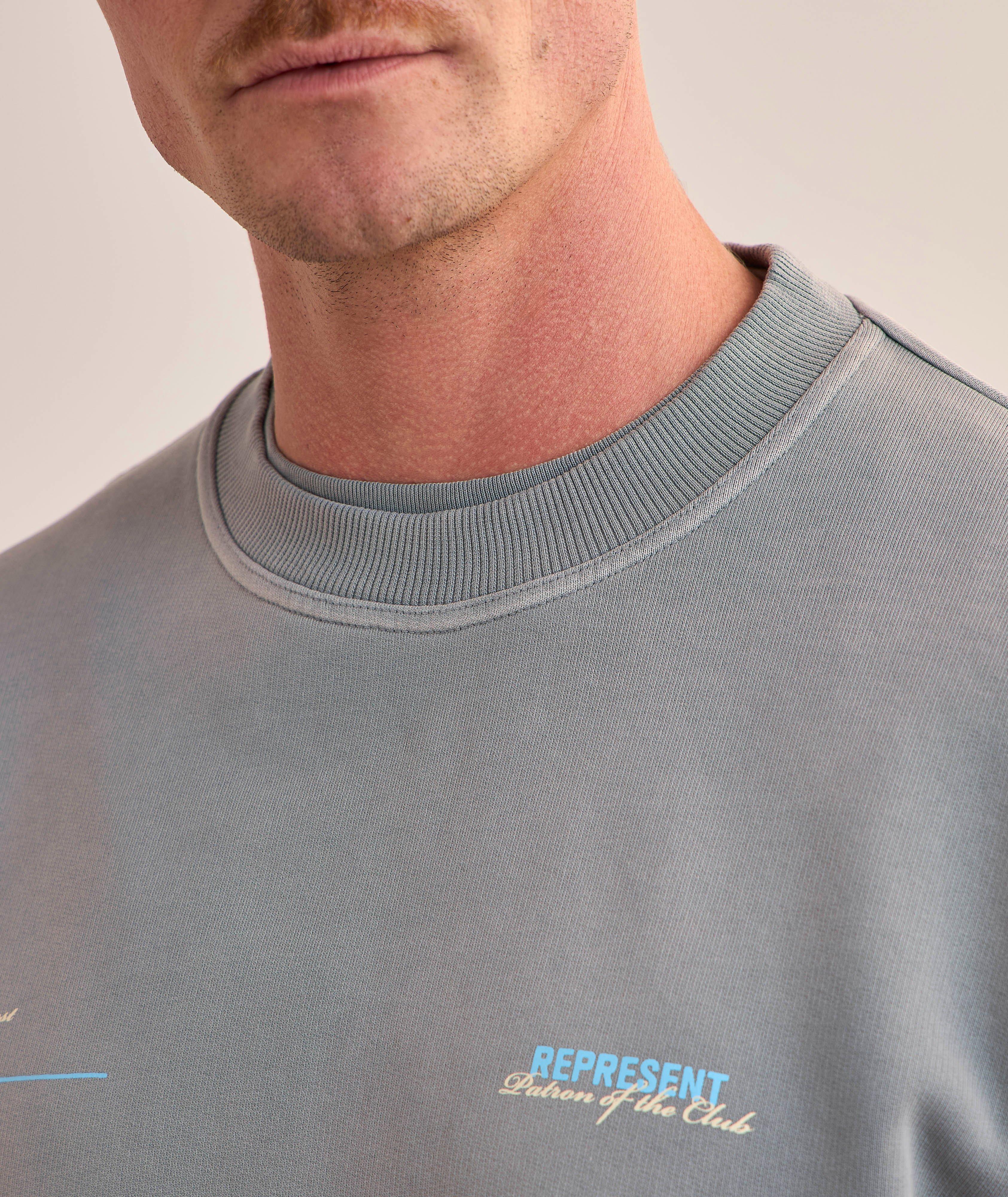 Pull en coton, collection Patron of the Club image 4